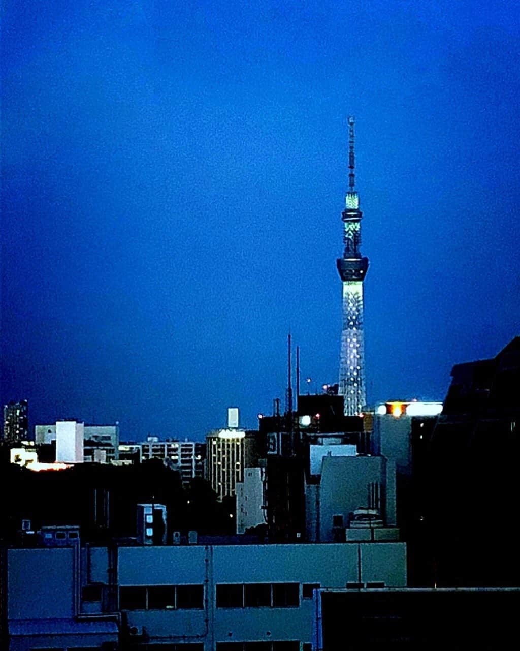 理絵さんのインスタグラム写真 - (理絵Instagram)「入院中の景色が懐かしいな  #スカイツリー #skytree #東京スカイツリー #tokyoskytree #夜景 #nightview #야경 #病棟 #景色 #思い出 #tokyo #japan」6月10日 20時11分 - ____rie____