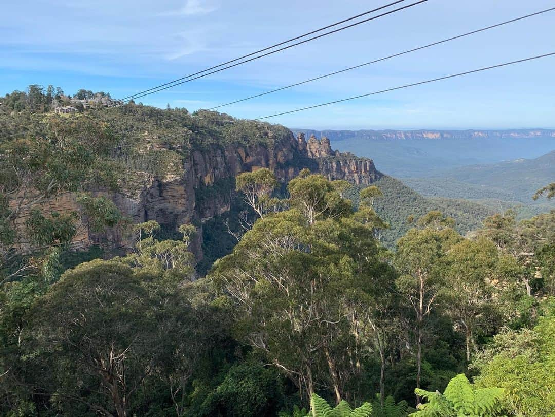 こにわさんのインスタグラム写真 - (こにわInstagram)「Nature is art.  #beautiful #bluemountain #australia #nature #art」6月10日 20時07分 - koniwa1982