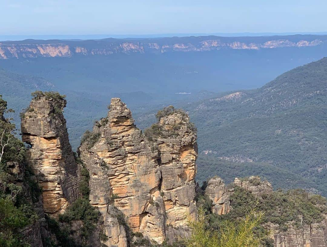 こにわさんのインスタグラム写真 - (こにわInstagram)「Nature is art.  #beautiful #bluemountain #australia #nature #art」6月10日 20時07分 - koniwa1982