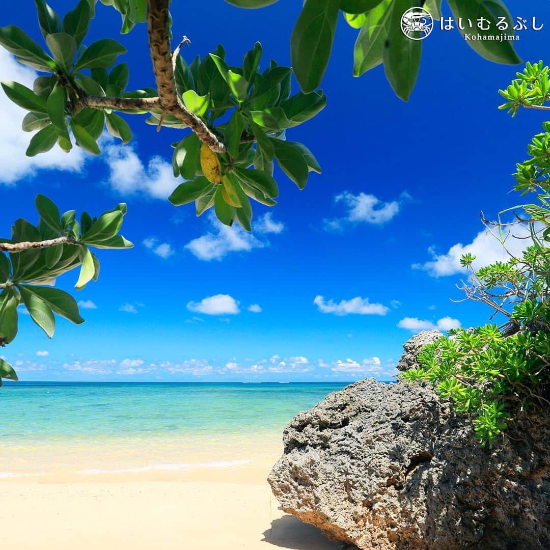 HAIMURUBUSHI はいむるぶしさんのインスタグラム写真 - (HAIMURUBUSHI はいむるぶしInstagram)「モンパの木の木陰から眺める美ら海。砂浜に打ち寄せる小波の波音に心が癒されます。#沖縄 #八重山諸島 #砂浜 #波ウェーブ #はいむるぶし #japan #okinawa #yaeyamaislands #beach #bluesea #beachresort #haimurubushi @minefuyu_yamashita」6月10日 20時08分 - haimurubushi_resorts