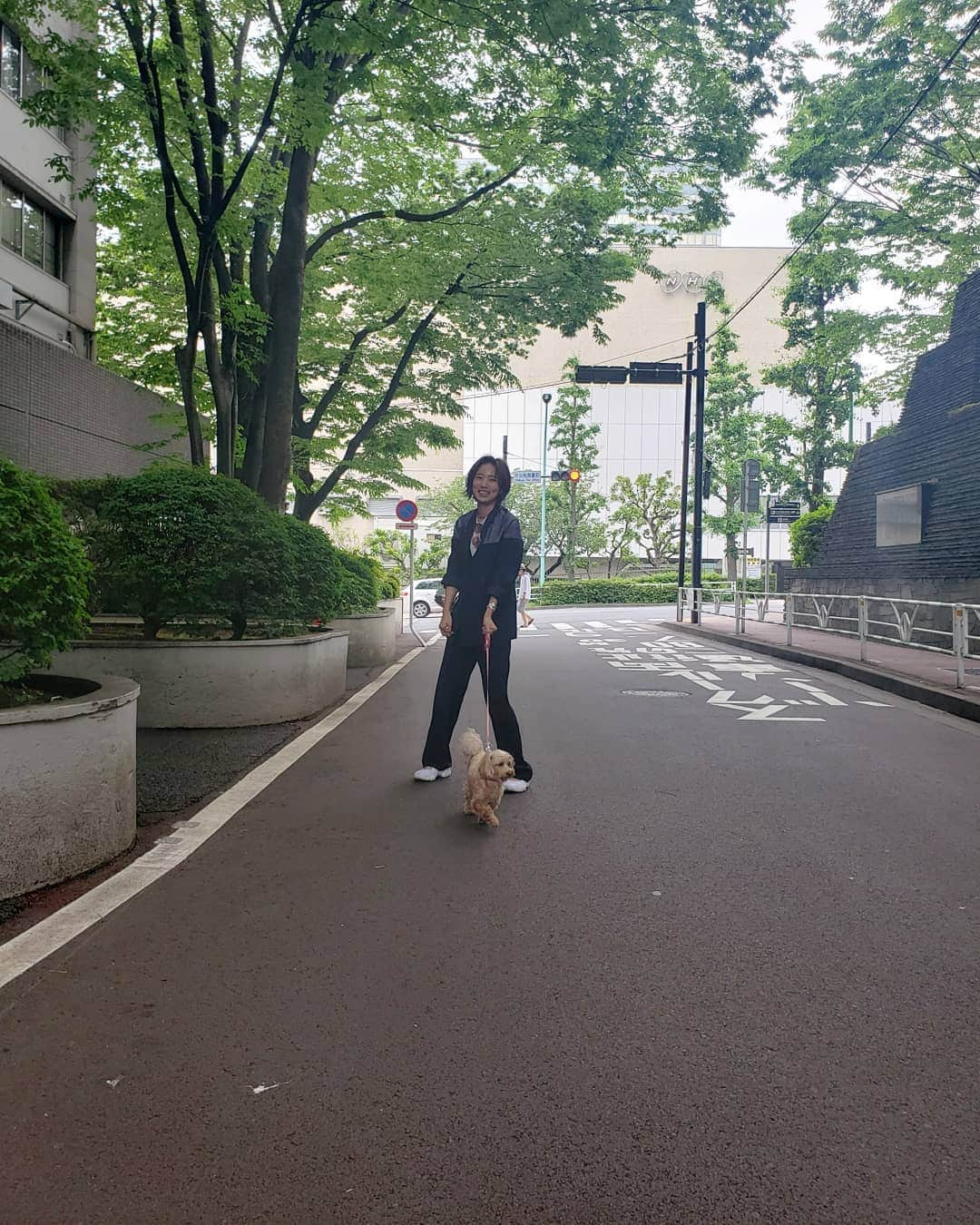 夏菜さんのインスタグラム写真 - (夏菜Instagram)「こむぎとなつな。 めっちゃ引っ張ってくる。😂 ２枚目こむぎうつってないし。笑」6月10日 20時16分 - natsuna_official