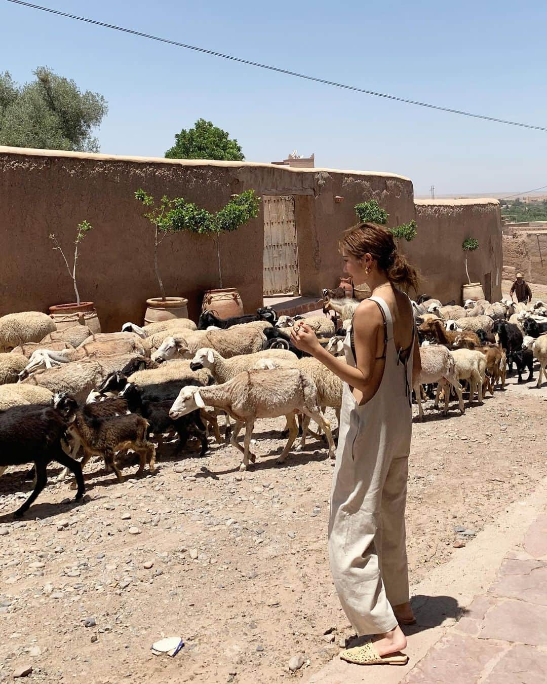 パク・ソラさんのインスタグラム写真 - (パク・ソラInstagram)「아니 이그림 말되냐거..다시봐도 신기하네🐑🦙🐃🦙🐑🐃」6月10日 20時28分 - sora_pppp