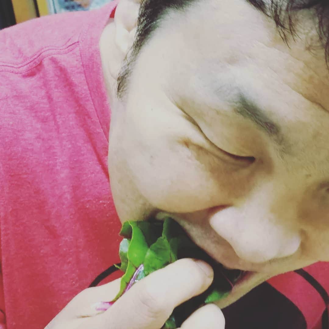 金原弘光のインスタグラム：「セラから貰ったポキと野菜‼ どえりゃあ美味かった🎵 どうもありがとう😄 Sarah's made poki and vegetables was so delicious. Thank you SARAH.😄👍 #ポキ #野菜 #セラ」