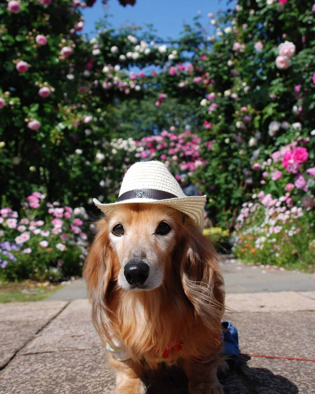 ?モデル?大地?のグルメインスタ