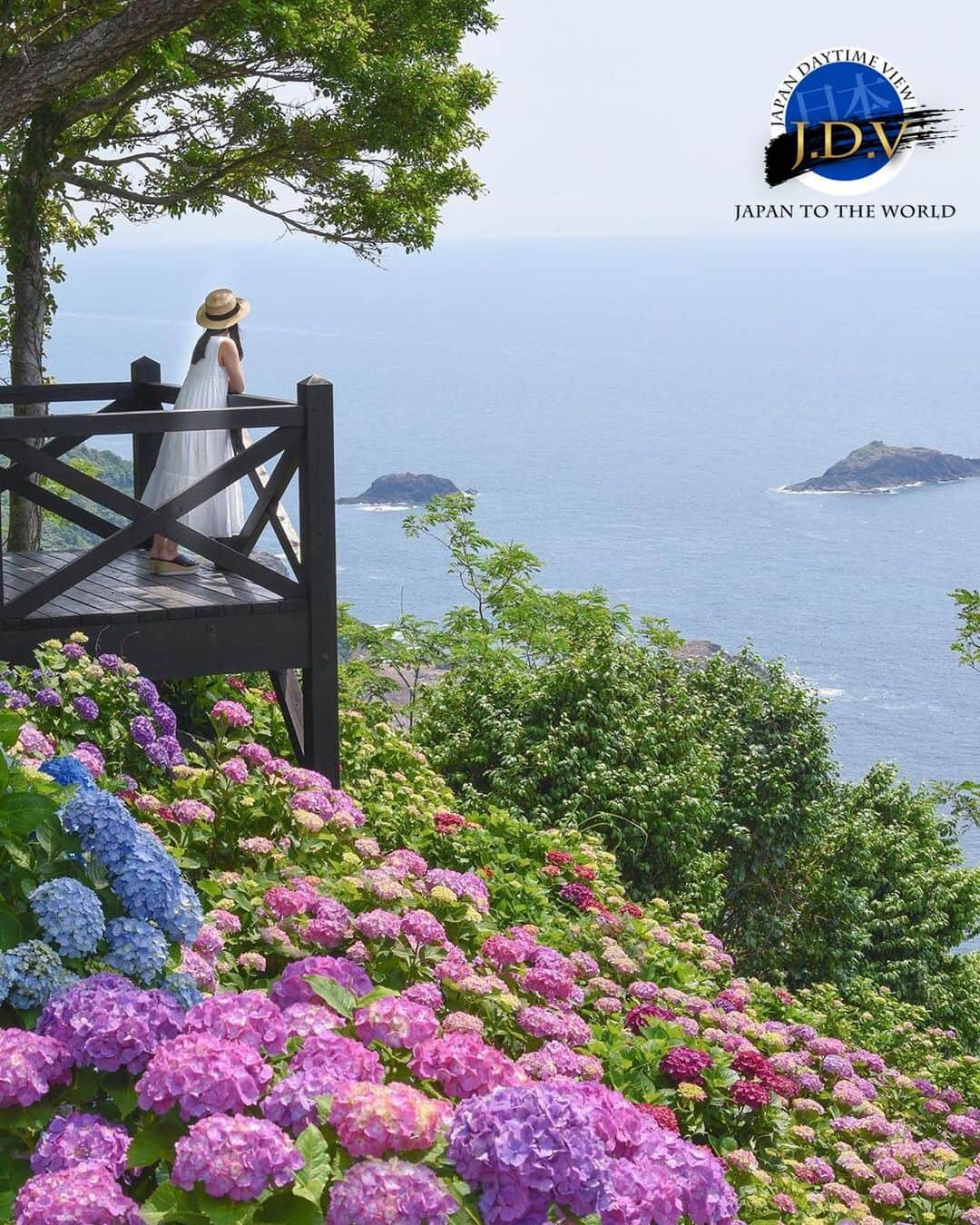 japan_daytime_viewのインスタグラム