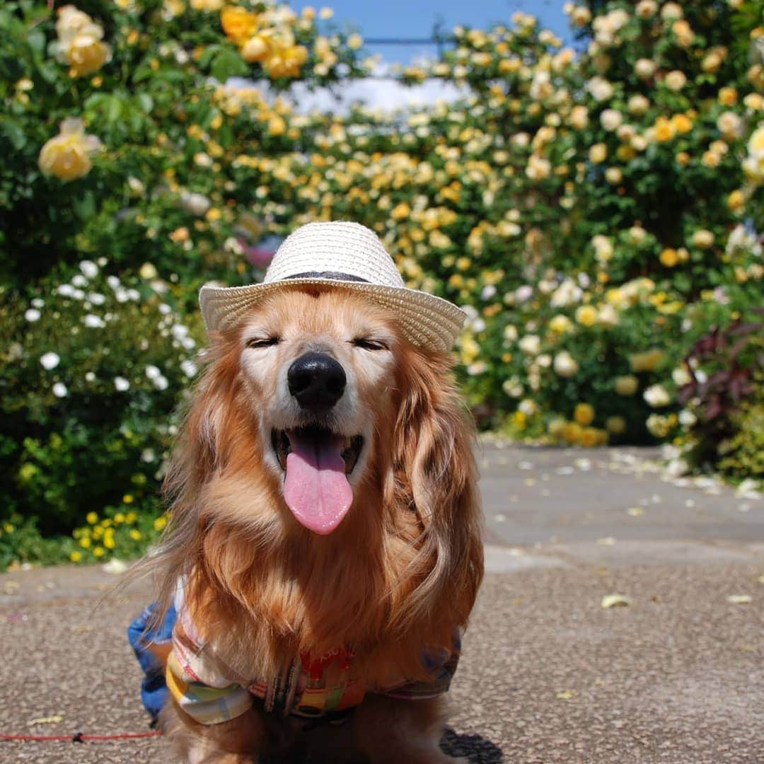 ?モデル?大地?のグルメインスタ
