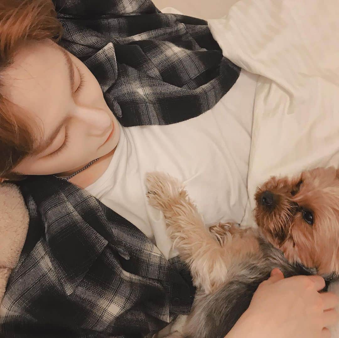 Yuitoのインスタグラム：「my friend 🐾」