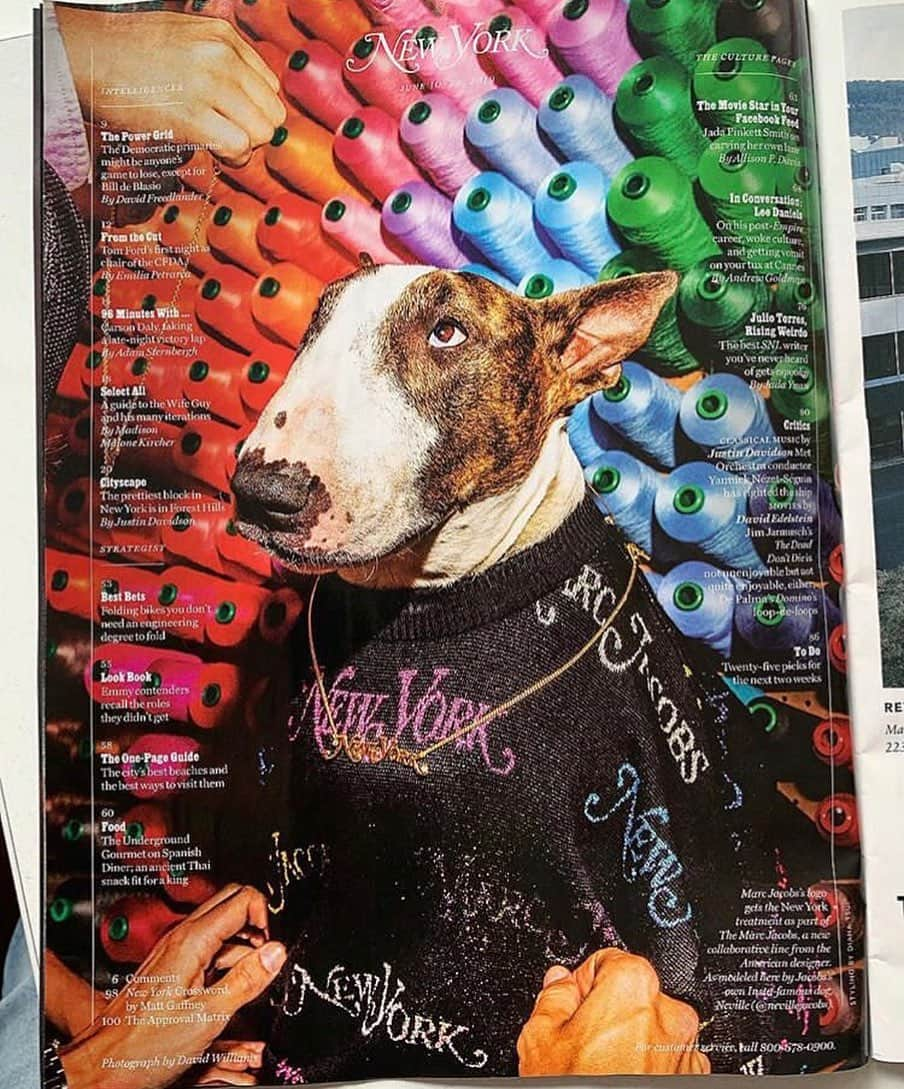 オランピアルタンさんのインスタグラム写真 - (オランピアルタンInstagram)「Another #supermodel wearing #THE ❤️🐶❤️ @nevillejacobs in @nymag in #thelogosweater @themarcjacobs #nymagxthemarcjacobs ❤️🧡💛💚💙💜 #RG @michael_ariano」6月10日 23時04分 - olympialetan