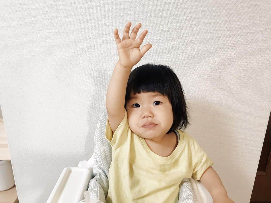 naoko tawaraさんのインスタグラム写真 - (naoko tawaraInstagram)「2019.6.9 母の技術ではどうにもできず、瑛菜はじめてのヘアカットへ。  @hair_make_laji の @uminoeiko さんに切っていただき、すっきりぱっつんヘアーになりました。 これで髪おろしても大丈夫☺︎ ボサボサからの卒業です。 うれし〜😻 エイコさん、ありがとうございました〜。 #laji #1歳2か月 #はじめてのヘアカット」6月10日 23時10分 - noknok705