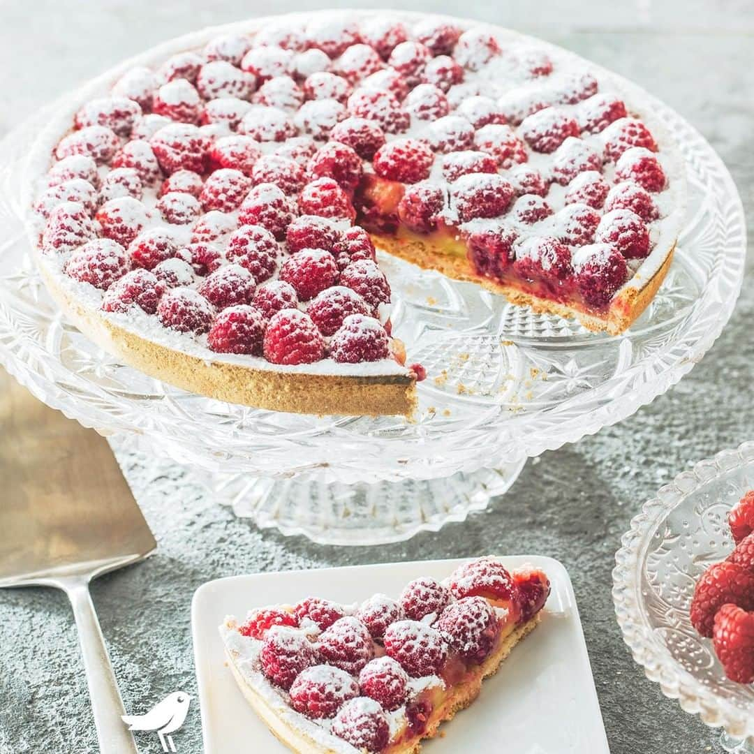 auchan_franceさんのインスタグラム写真 - (auchan_franceInstagram)「La tarte aux framboises, un classique dont on ne se lassera jamais 😋Et vous, quelle est votre tarte préférée ? 🍰 . . . . #tarte #tarteauxframboises #raspberry #pie #yummy #miam #auchan #auchanfrance #EtLaVieChange」6月11日 1時14分 - auchan_france