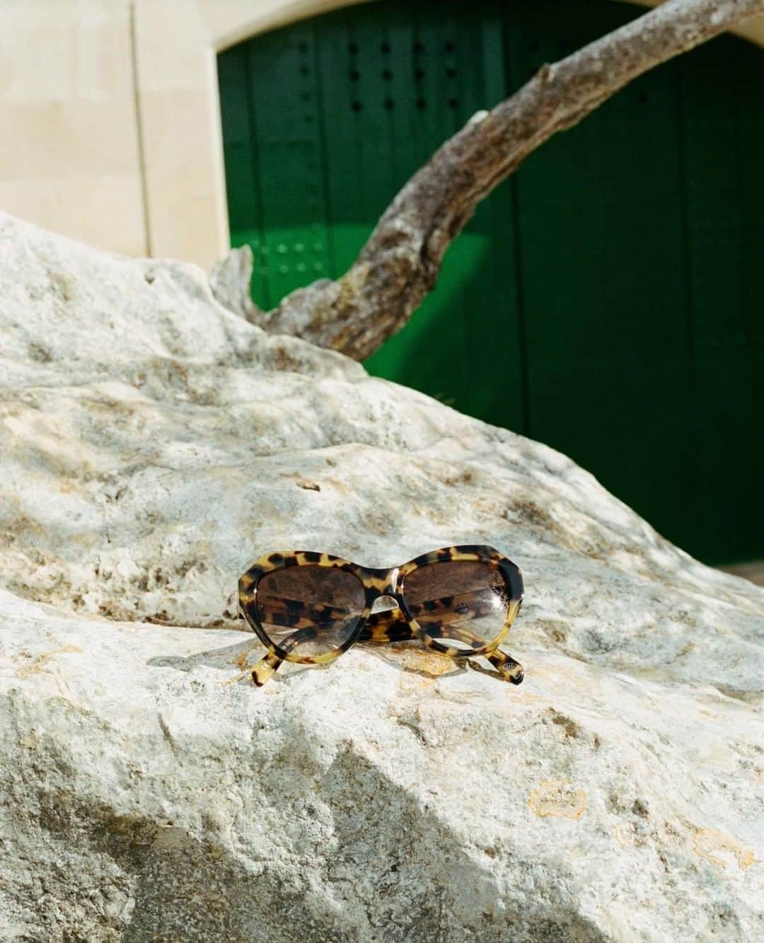 Meganさんのインスタグラム写真 - (MeganInstagram)「Zanzan ZAZOU cat-eye sunglasses in Tokyo tortoiseshell. Handmade in Italy. ⠀ ⠀ #サングラス #선글라스 #lunettes #occhiali #sunglasses #eyewear #handmadeinitaly #slowfashion #buybetterbuyless⠀」6月11日 1時25分 - zanzan_domus