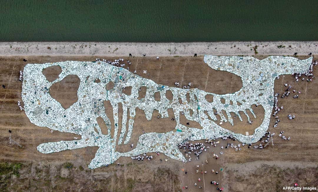 ABC Newsさんのインスタグラム写真 - (ABC NewsInstagram)「Massive 223-ft. shape of a whale made of plastic waste collected from the ocean, in event in China raising awareness of sea pollution. #pollution #environment #ocean #whales #beaches」6月11日 1時19分 - abcnews