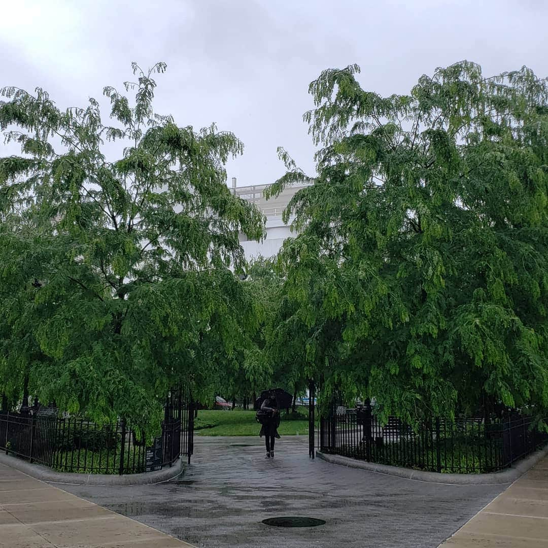 サラ・ジェシカ・パーカーさんのインスタグラム写真 - (サラ・ジェシカ・パーカーInstagram)「The corner of Greenwich Ave and 7th Ave South NYC A green space just a whole lot greener. X,SJ」6月11日 1時41分 - sarahjessicaparker