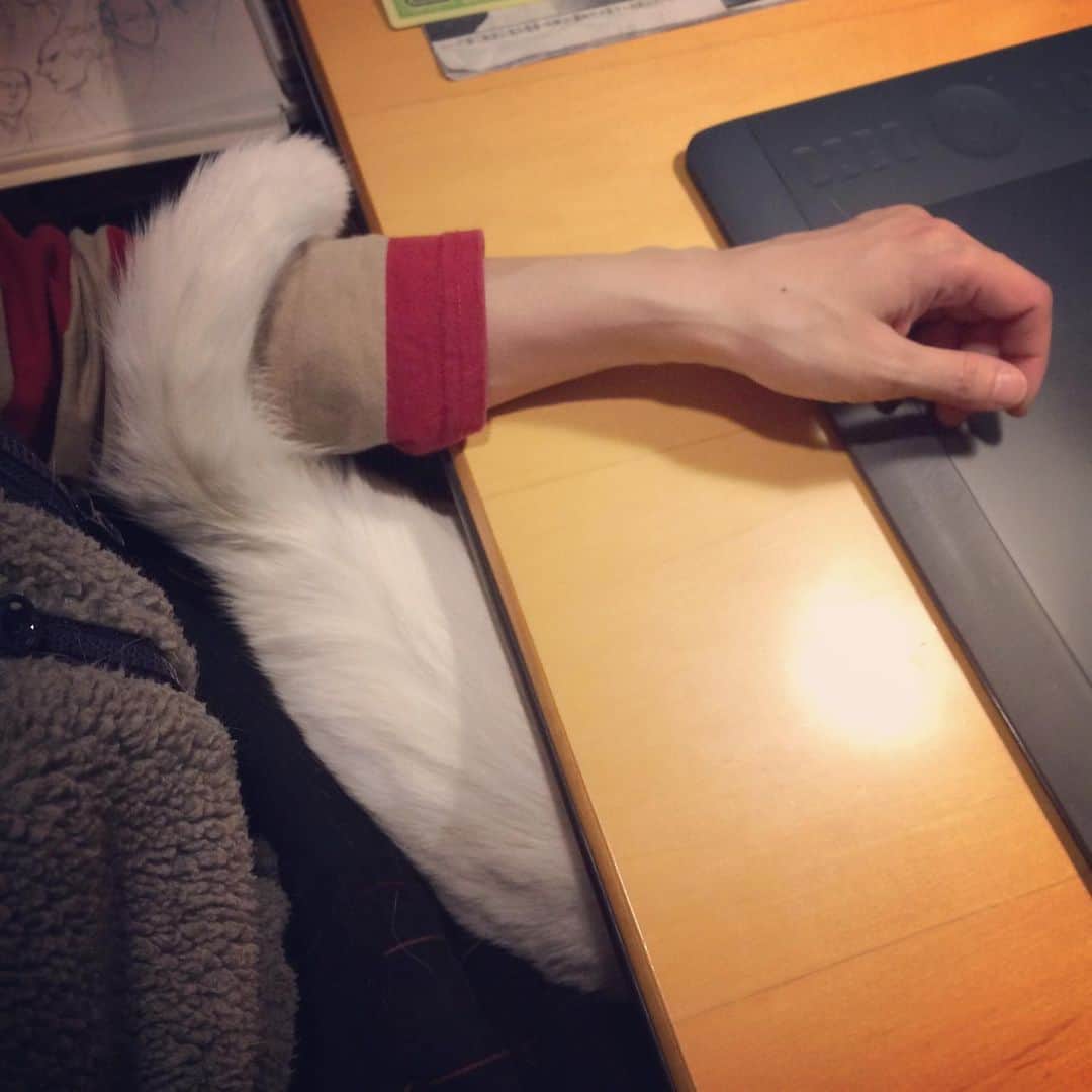 岡田屋鉄蔵のインスタグラム：「尻尾だけ起きてる」
