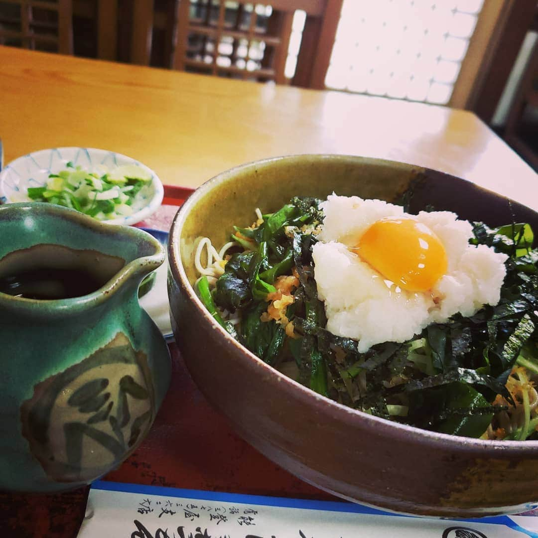 東朋宏さんのインスタグラム写真 - (東朋宏Instagram)「無性に牛ビビン丼が食べたくなってわざわざ遠くの松屋まで来たのにもう無くなってる。。。 なので今回はこないだ行った昔の実家近くの蕎麦屋の写真！ ｢磯月見そば｣  うん、やっぱり慣れ親しんだ味は旨いね～！ #薬酒インスタ対決 #ノスタルジック #お蕎麦 #能登屋 #椎茸そばもめっちゃ旨い #ランチタイムはおにぎり付くよ」6月11日 3時27分 - tomohiro_azuma