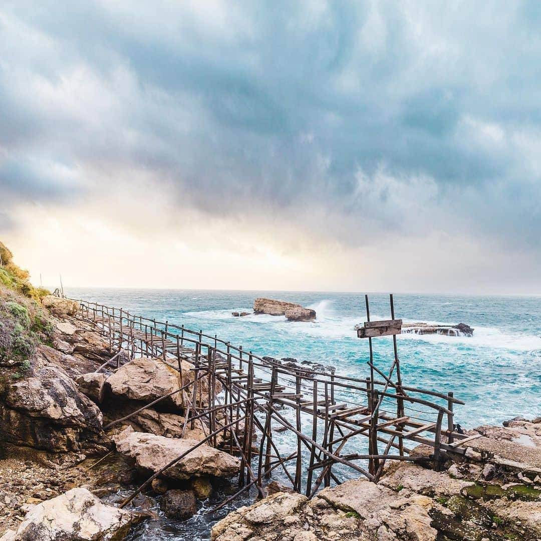 Andrew Knappさんのインスタグラム写真 - (Andrew KnappInstagram)「Find Momo in Sorrento, Italy. Would you walk it?  This photo and so many other favourites are in our new book, link in profile. #findmomoacrosseurope」6月11日 3時27分 - andrewknapp