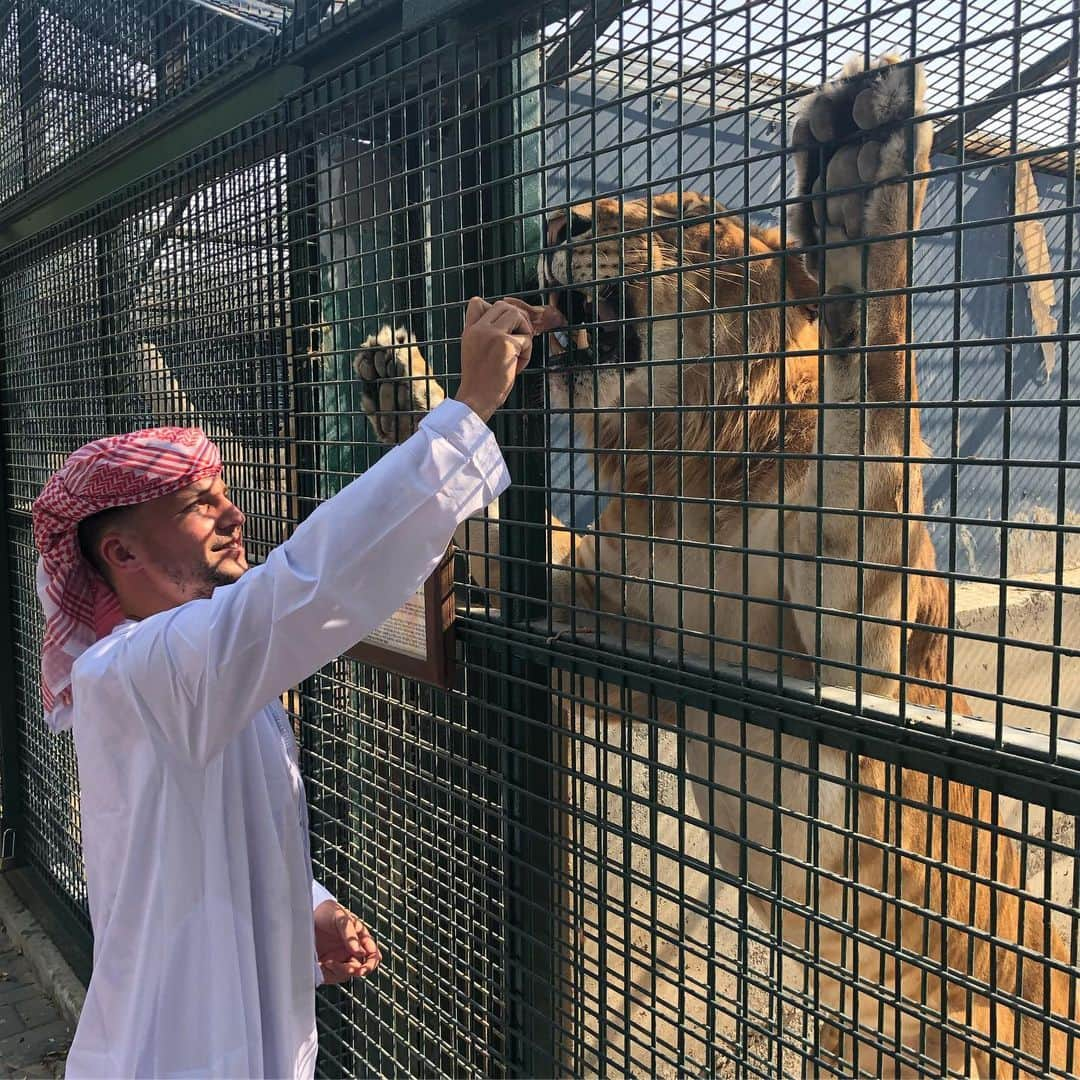 ベン・ヘイマーさんのインスタグラム写真 - (ベン・ヘイマーInstagram)「Thank you @sb_belhasa and @msb_belhasa for letting us visit your farm today! What an experience! See you again soon! 👌🏻👏🏻🔥」6月11日 3時30分 - benhamer1987