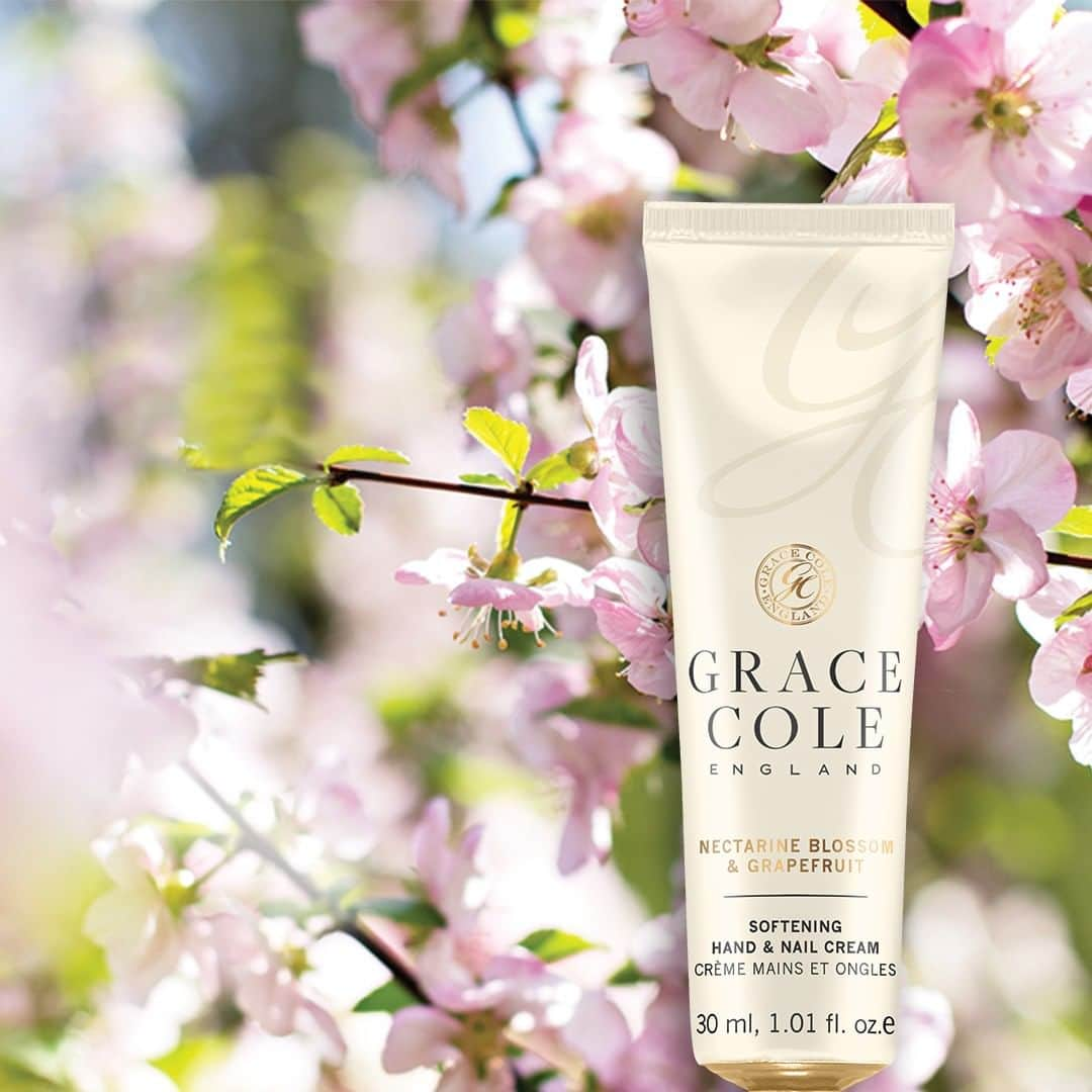 Grace Coleさんのインスタグラム写真 - (Grace ColeInstagram)「Our adorable Hand & Nail Cream is a veritable mini moment of everyday luxury.  Whether it's in your handbag, on your office desk or in the glove compartment of your car, care for your hands and nails wherever you go! http://bit.ly/2MiOnBR  #handandnailcream #strengthensnails #moisturiseshands #softenshands #beautiful #flowers #bouquet #skincareproducts #skincare #beautycare #gracecole #glamour #momentofglamour #glamourmoment」6月11日 4時01分 - gracecoleltd