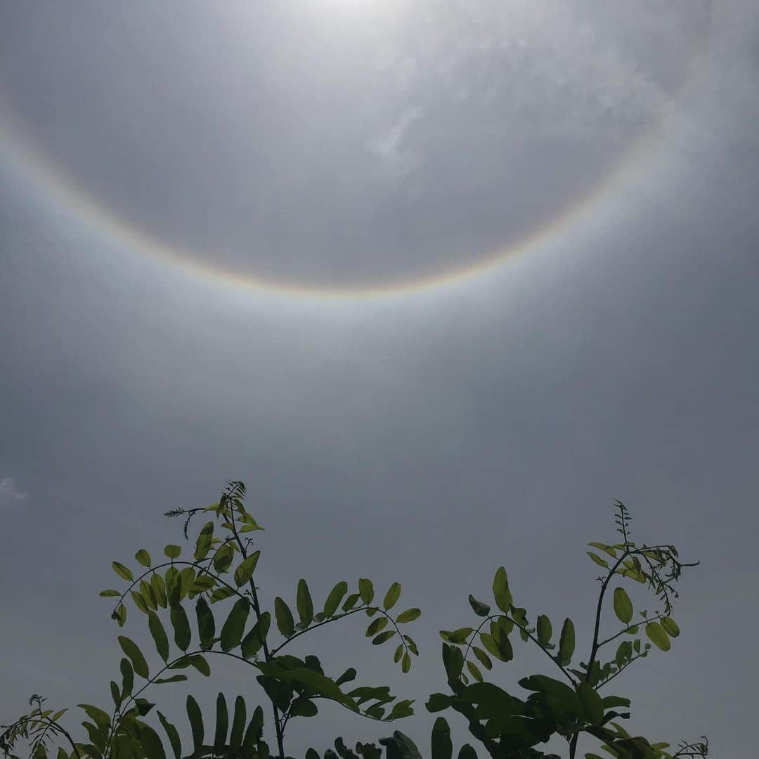岡本依子さんのインスタグラム写真 - (岡本依子Instagram)「6月8日、韓国で、八口と呼ばれる太陽の周りに虹のリングができる現象を見た^_^ 13時ころに気がついて、日が沈みそうな時まで、虹のリングがあった。 6月10日に、大阪に帰ってきたら、うすーい虹を見た。 #太陽 #八口 #虹 🌈🌈🌈」6月11日 4時06分 - yorikookamoto