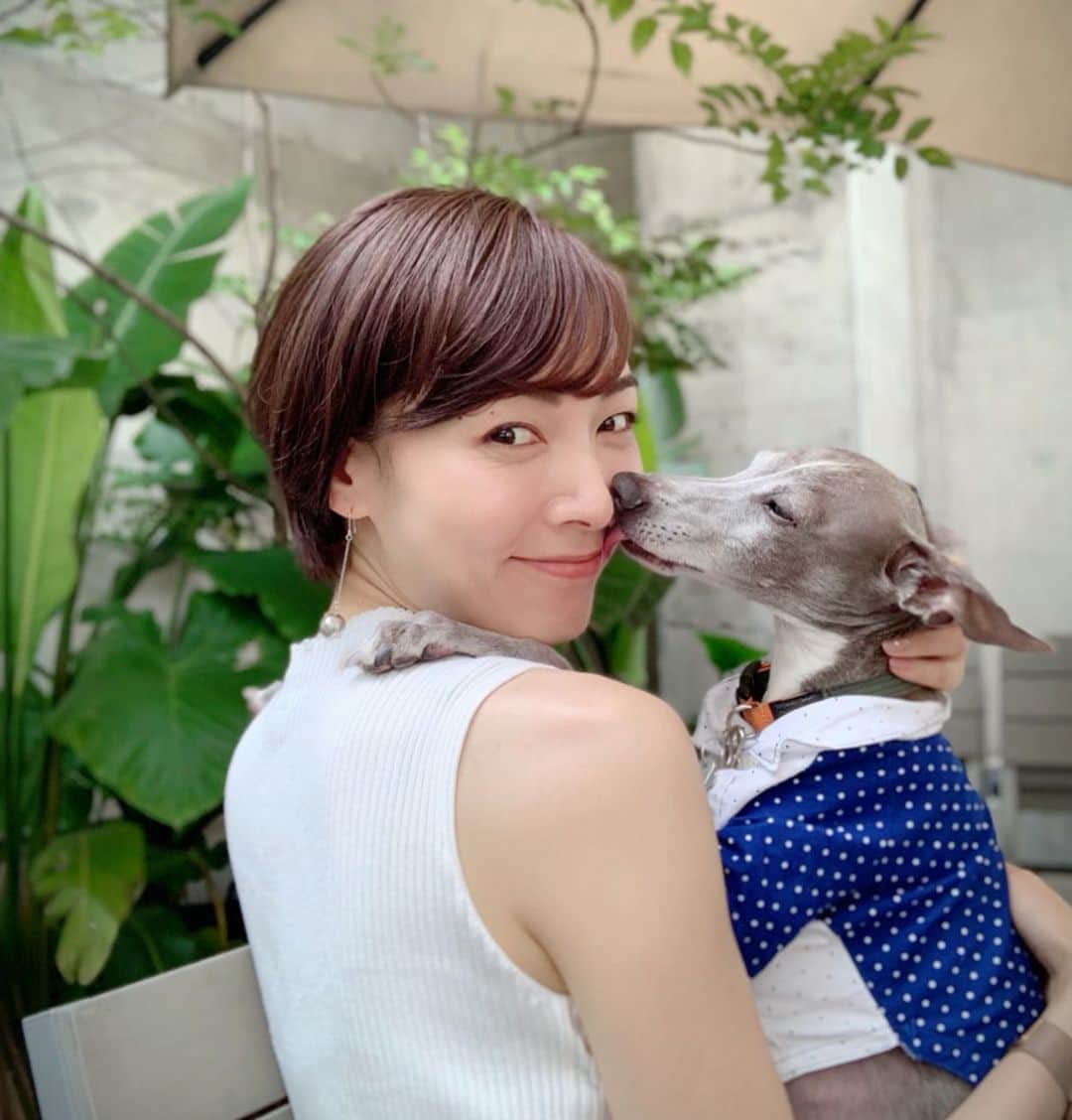 簑島宏美さんのインスタグラム写真 - (簑島宏美Instagram)「* ******** Look at his melting face! 🤣🤣 * 🍽→@nandohwl5bangai  情報を頂いて、テラスわんこOKのカフェへ😊🐶 1Fにペットショップがあるので、帰りにハウルのおやつも購入🍪 ひとりごはんは寂しいけれど、ハウルと居ると何処へでも行けます。ペット可のお店がもっと増えるといいのになぁ🥰❤️ このハウルのトロけた表情、お気に入りです😂👏 ******** #イタグレ#イタリアングレーハウンド#italiangreyhound#dogstagram#イタグレとの暮らし#iggy#iggygram #iggylove#iggylife#いぬのいる暮らし#犬のいる暮らし#いぬバカ部#イタグレ服#iggysoftheworld #iggysofinstagram #dogsofig #dogsofinstagram #プチプラコーデ #犬好きな人と繋がりたい#オシャレさんと繋がりたい#犬服ハンドメイド#リンクコーデ#大分県#oita#おんせん県#おんせん県おおいた#おんせん犬おおいた #oitagram#oitaprefecture」6月11日 16時09分 - hiromiminoshima