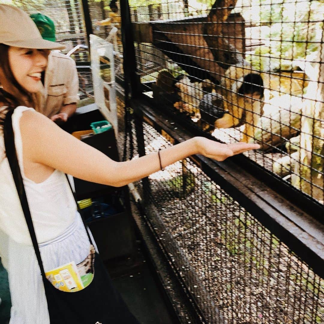 スザンヌさんのインスタグラム写真 - (スザンヌInstagram)「リスザルの森🐒❤️﻿ ﻿ 赤ちゃんリスザルを抱っこしたりおんぶしたりしてごはんをもらうお母さんリスザル。﻿ はぁ可愛かったなぁ❤︎﻿ ﻿ あまりの可愛さに﻿ 普段は息子もわたしも絶対触れないミミズみたいな虫←を手に乗せて食べて頂いたよ🤲﻿ ﻿ カピバラも見れたし色んな動物とふれあい体験もできたし﻿ 乗馬体験🐴も出来て、﻿ ﻿ バスまでの🚌時間結構待つかなぁなんて思ってたけど﻿ 動物見てたらあっという間！﻿ ﻿ お土産屋さんにも寄れなかったくらい大充実。﻿ ﻿ 広いしご飯屋さんもあったし、﻿ 車の心配もないから﻿ 緑いっぱいの公園で﻿ 走りまわることも出来て息子もすっごく楽しそうだったな🤤﻿ ﻿ また秋になったら行こうね！！﻿ ﻿ 思いつきの﻿ サファリパークだったけど﻿ 行けてほんとーっによかった🌈﻿ ﻿ 想像を超える喜び方してくれて﻿ わたしも幸せな気持ちになりました🙆‍♀️ #アフリカンサファリ」6月11日 16時10分 - suzanneeee1028