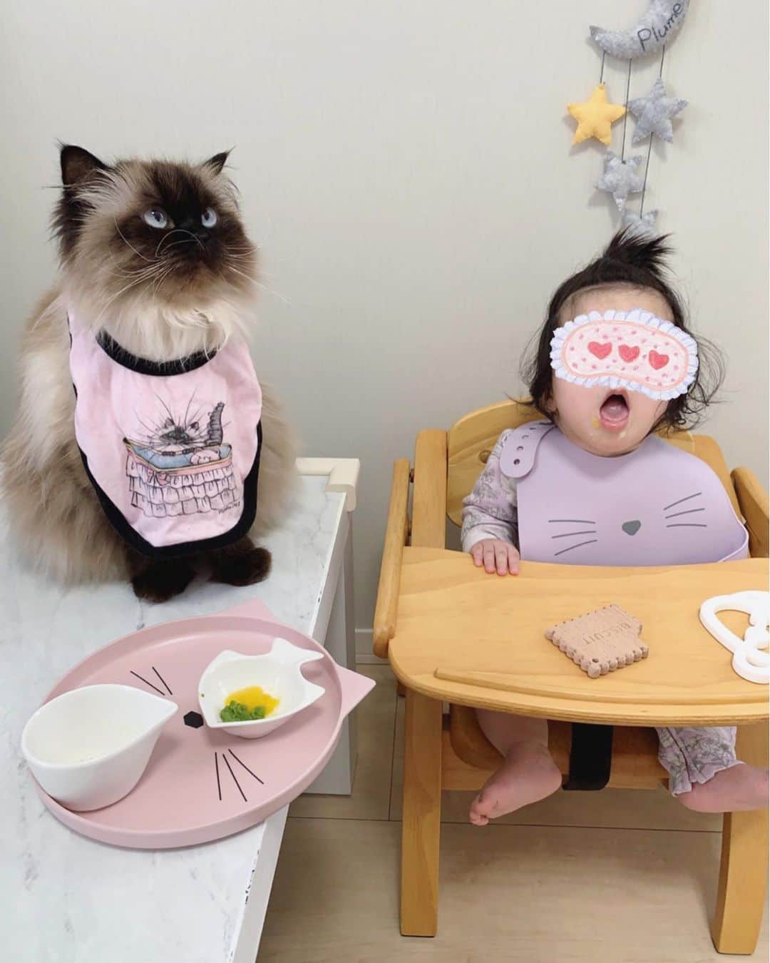 plumeさんのインスタグラム写真 - (plumeInstagram)「猫だらけなベビの食卓😋🍽 swipe👉シリコンのエプロンもお皿も猫柄🐈🐈💓 (このエプロン柔らかくて着けやすくてお気に入り❣️) . ベビのご飯の時間はプリュムの時間👧🏼 プリュムの時間はプリュムだけの時間😂💗ww . . . . . . . .  #プリュムのいる生活 #猫のいる暮らし  #ヒマラヤン  #赤ちゃんと猫  #ふわもこ部  #ヒマラニャンズ  #赤ちゃんのいる生活  #ペコねこ部  #8ヶ月 #離乳食  #ベビー用品 #猫グッズ  #apron #yumyum #👅 #🐈 #고양이  #kucing  #Кот  #ilovecats #sealpoint  #himalayancat  #catsofinstagram #catloversclub  #bestmeow  #bestcats_oftheworld  #weeklyfluff  #bestanimal #cutepetclub #grumpycat」6月11日 8時17分 - plumestagram