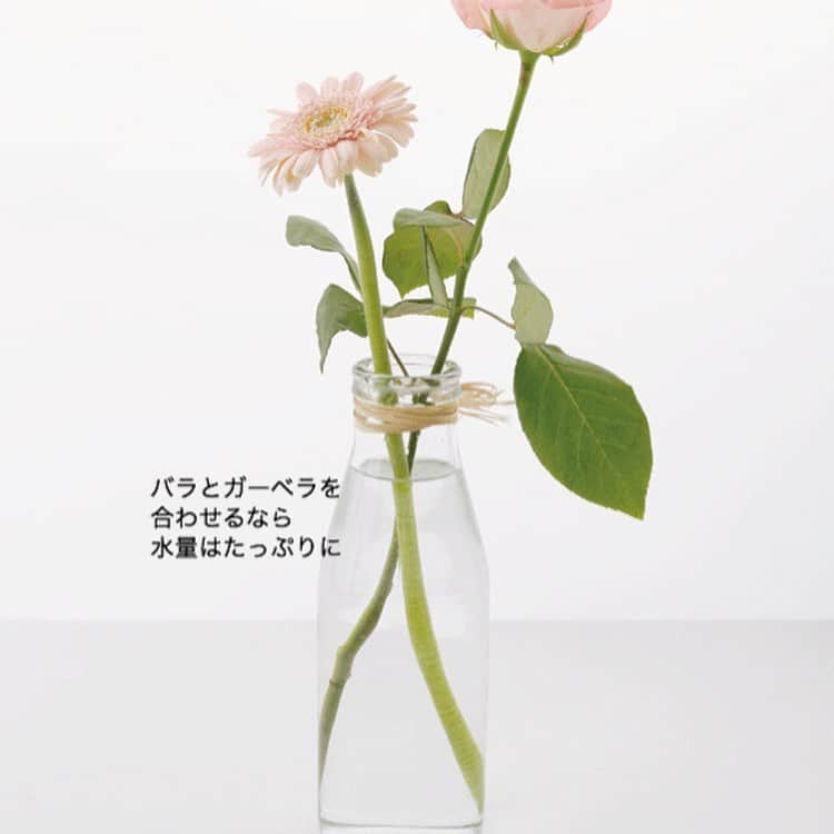 雑誌『花時間』さんのインスタグラム写真 - (雑誌『花時間』Instagram)「おはようございます。花はみんな、水が大好き。どの花もたっぷりの水が必要なものでしょうか？  じつは、水量が少ないほうが親切な花もあるんです。ガーベラやキクが代表格。茎が水に腐れやすいんです😭😭😭 そんな花には「水位5㎝」ほどの浅めの水が適量。それ以外の茎が丈夫な花は「草丈の1／2ほど」と覚えておきましょう。では、ガーベラとバラなどの、茎が弱い花と水を多く必要な花を合わせるときは？？？ 水が下がらないよう、たっぷりの水にいけるのが正解！  こまめに水替えと切り戻しをすることで、茎へのダメージを防ぎます。ギモンが解消しましたか？  父の日の花、ヒマワリも浅めのお水が好みですよ〜🌻 では、本日も元気smile😊😊😊で頑張りましょう！ by ピーターパン  教えてくれた花屋さん @maison_fleurie_tamagawa  写真 @落合里美  #hana #flower #flowers #flowerslovers #flowerstagram #flowerarrangement #花時間 #花時間2019  #花好き #花藝 #花好きな人と繋がりたい #花が好きな人と繋がりたい #花のある生活 #花のある暮らし #フラワーアレンジメント #ガーベラ #バラ  #ガーベラが好き  #花を飾る  #花をいける #botanicallife  #花屋さんへ行こう」6月11日 8時25分 - hanajikan_magazine