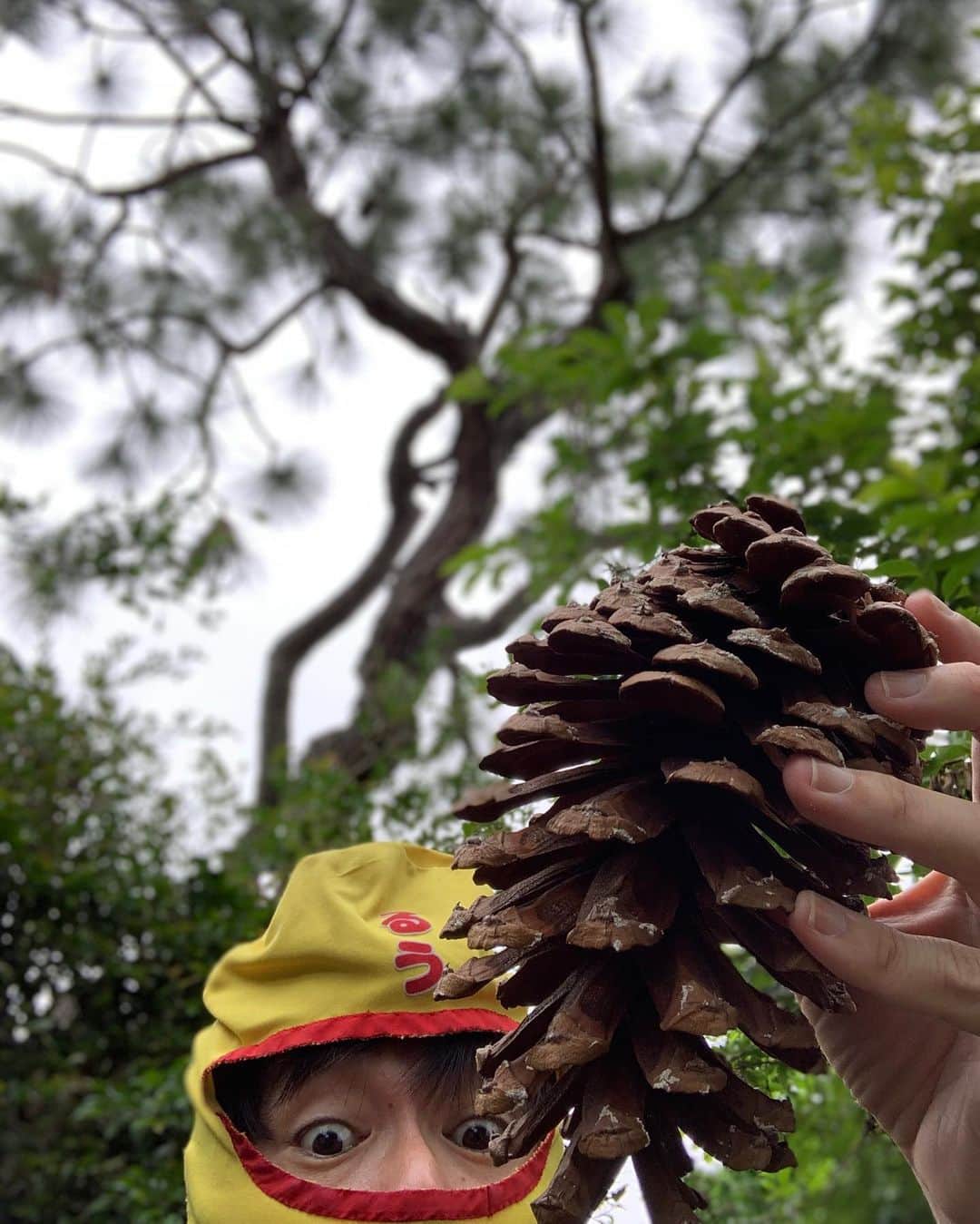 チキン南蛮カレーのルウ王子のグルメインスタ
