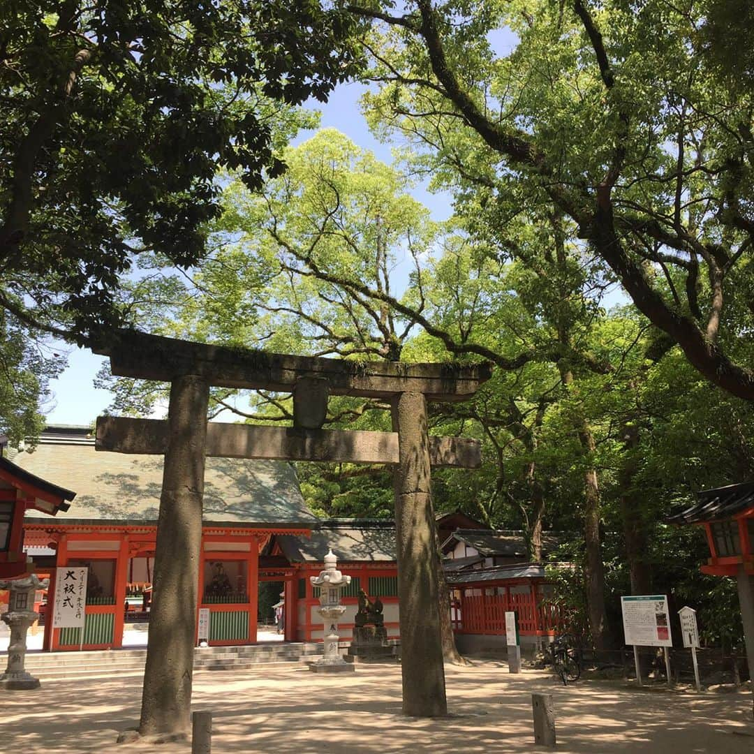 坂東亀三郎さんのインスタグラム写真 - (坂東亀三郎Instagram)「住吉神社。 博多座からフラッと歩ける圏内！  古代力士像の手相が「力」。 . . #御朱印 #御朱印帳 #住吉神社 #彦印帳 #歌舞伎 #音羽屋 #歌舞伎役者 #彦三郎 #坂東彦三郎 #九代目 #歌舞伎部 #otowayabando #彦さんぽ #福岡さんぽ コメントはお気軽に📝  松緑さんのお弟子さんの尾上緑(@onoe_midori )さんがInstagramを始めたのでフォローをお願い致します！」6月11日 9時16分 - otowayabando