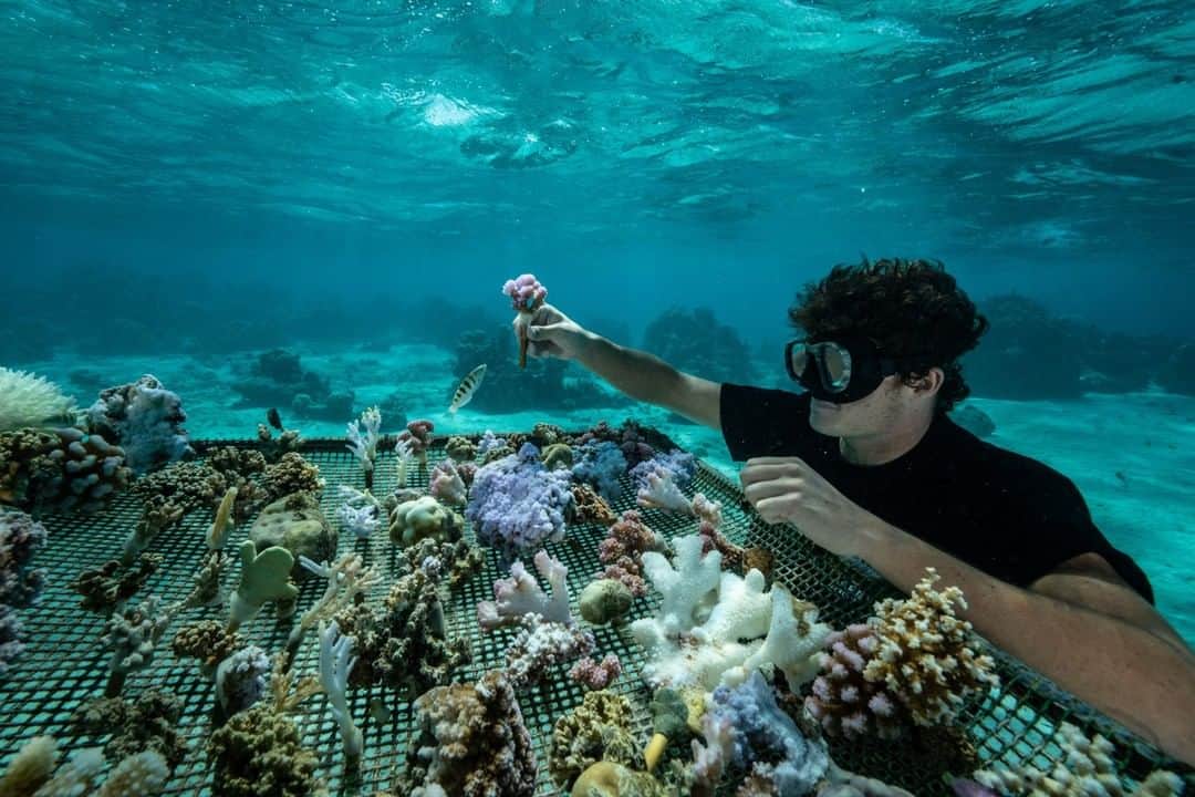 ナショナルジオグラフィックのインスタグラム