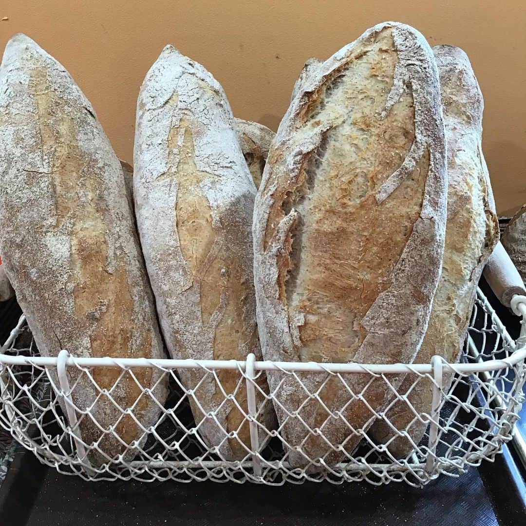 魔女菅原のグルメインスタ