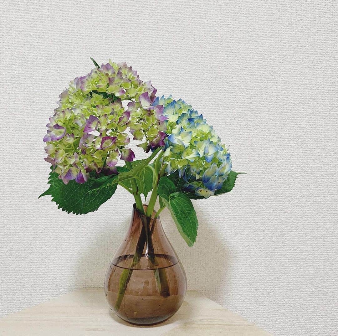 mina hinokuchiのインスタグラム：「. #今日の花 🌿 梅雨に入って買ったまま読めてなかった本や、観たい映画を色々見れて充実☔︎ . 夏に向けたアイテムから、肌寒いこの時期にすぐ着れるアイテムまで色々揃ってます♡ 今日も1日お待ちしてます♪♪ . #紫陽花 #flower #花 #IKEA #mina_myroom」