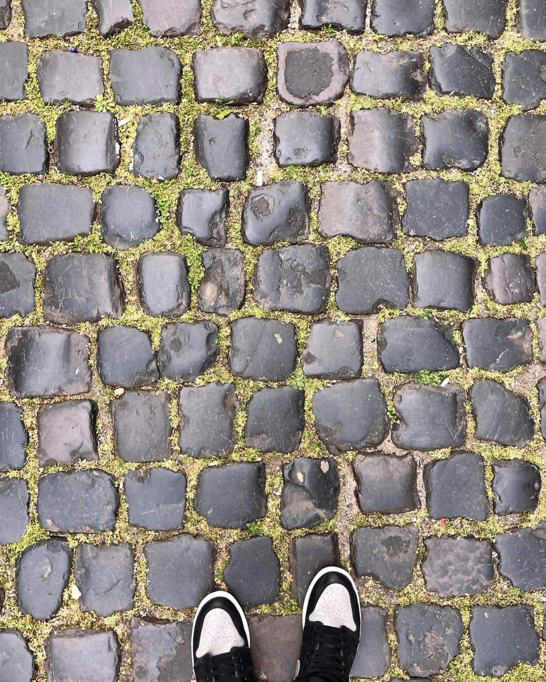 yuxuki wagaさんのインスタグラム写真 - (yuxuki wagaInstagram)「Düsseldorfの地面。  #dusseldorf #deutschland #germany🇩🇪」6月11日 9時50分 - yuxuki