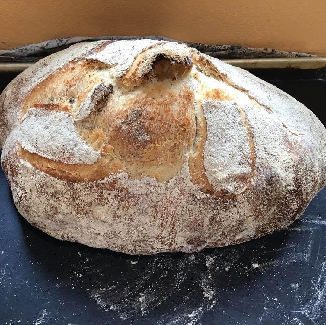 魔女菅原のグルメインスタ