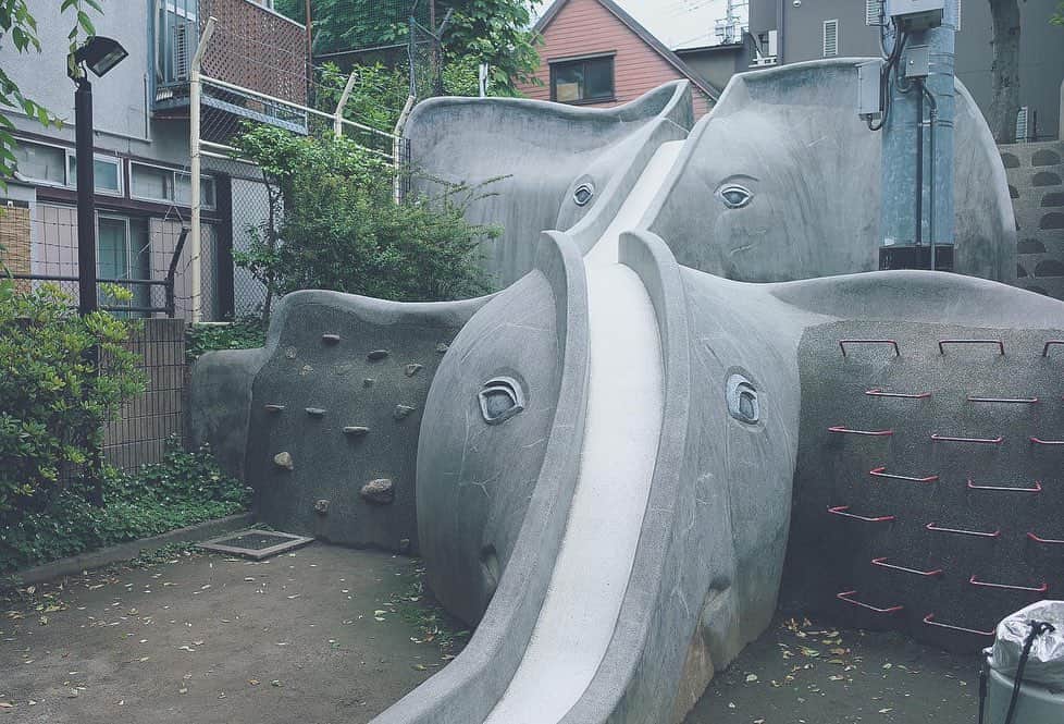 南まことさんのインスタグラム写真 - (南まことInstagram)「遊具ハマりそうだゾウ🐘🐘🐘 #あかぎ児童遊園 #遊具 #kagurazaka」6月11日 10時23分 - macotominami