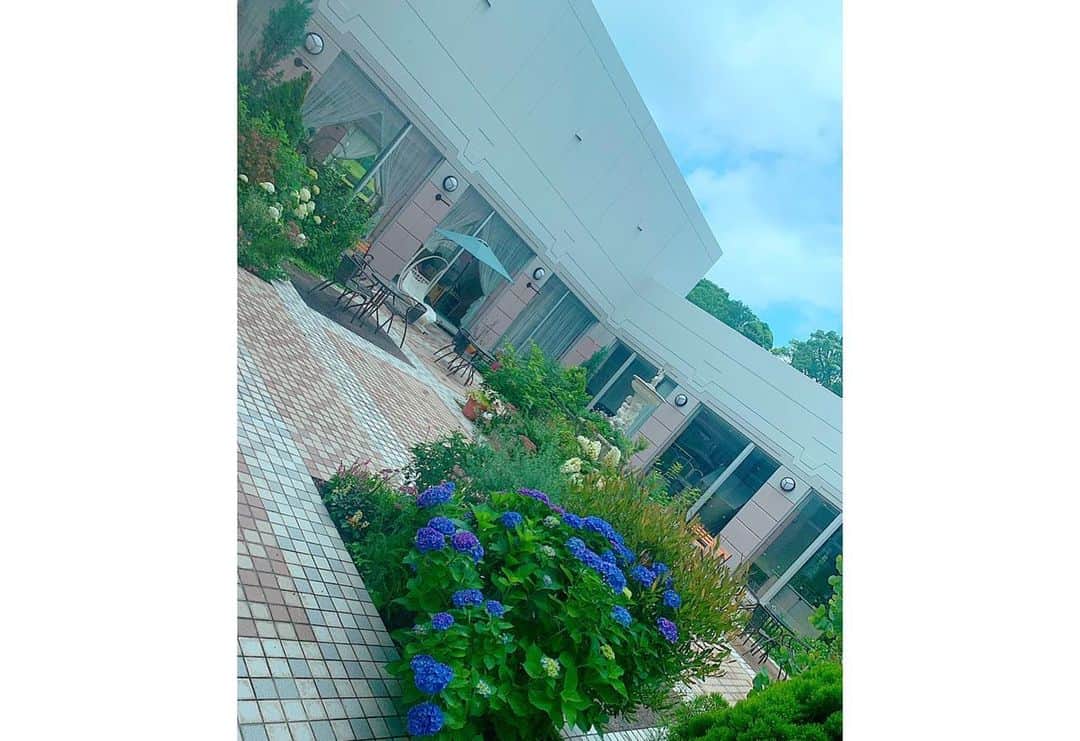 百合華さんのインスタグラム写真 - (百合華Instagram)「昨日の駅構内に咲いていた紫陽花もとっても綺麗だっけど、ここでは色とりどりの紫陽花が美しくお手入れされた中庭を彩ってくれてました✨﻿ ﻿ こんなに沢山の種類の紫陽花を１度に観賞出来るなんて日本は梅雨の時期も素敵な季節なんですね☔️💕﻿ ﻿ 玄界灘ビューは爽快感があって気持ちが良き🥰﻿ ﻿ #福岡県 ﻿ #宗像市 ﻿ #東郷 ﻿ #紫陽花﻿ #色とりどり﻿ #美しい﻿ #中庭﻿ #鑑賞﻿ #梅雨﻿ #玄界灘﻿ #爽快感」6月11日 10時29分 - yurika.lovelily