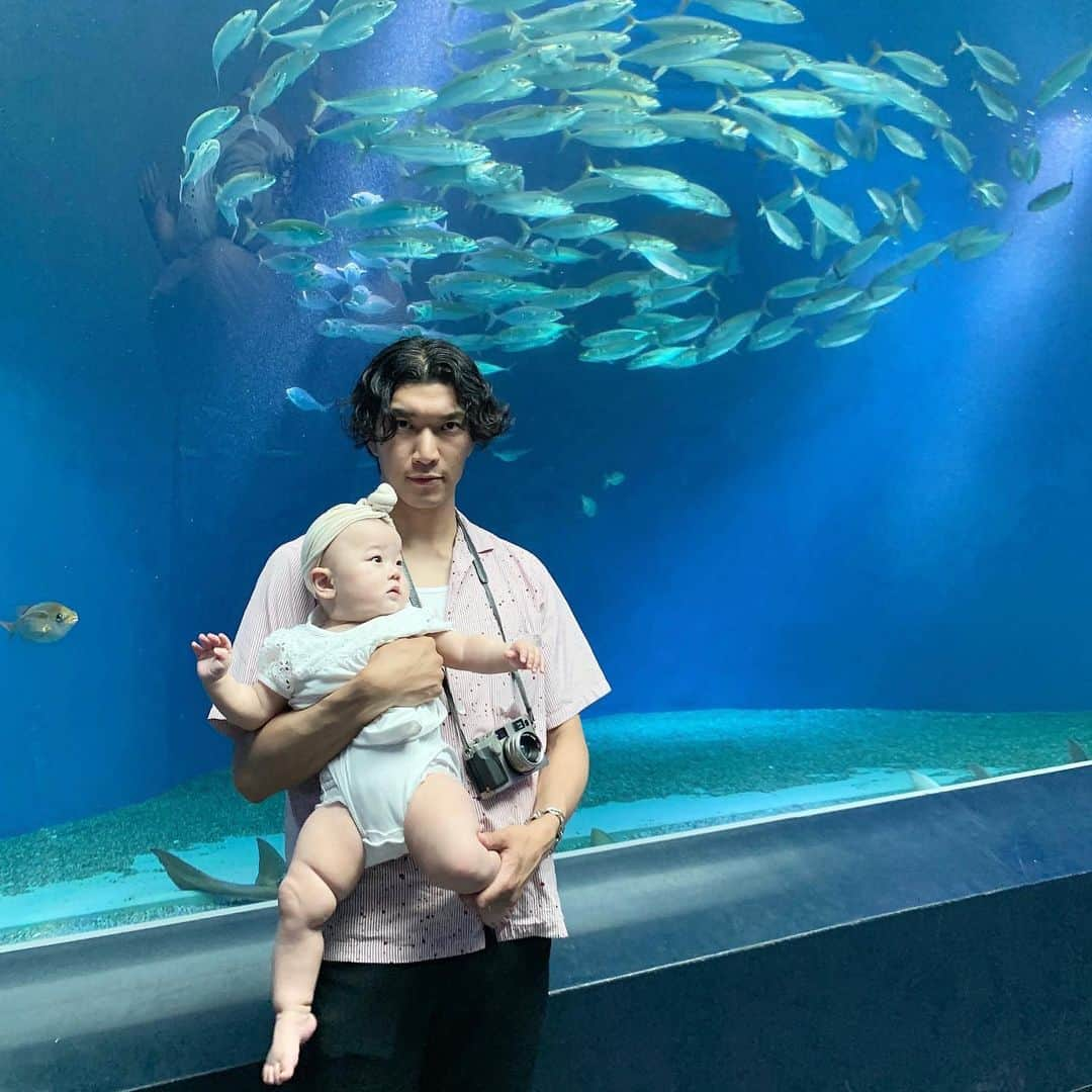 大塚良子さんのインスタグラム写真 - (大塚良子Instagram)「.﻿ 帰国前日、ギリギリ行けたAQUA PARK 品川﻿﻿ ﻿﻿ 初めて見る生き物に目をまん丸くする娘﻿﻿ イルカのショーでもキャッキャと喜んで興奮しては 手をパチパチ。やっぱ娘が喜ぶ姿を見れるのは何より幸せ。天気が良かったから水中に射す光がゆらゆら眩しくてそこを泳ぐ魚たちも美しかった〜。 ラスト駆け込み大満喫！ ﻿ #tokyo #aquapark #shinagawa ﻿ #japan #baby #life #9monthsold ﻿ #マクセルアクアパーク品川」6月11日 11時33分 - ryokokonami