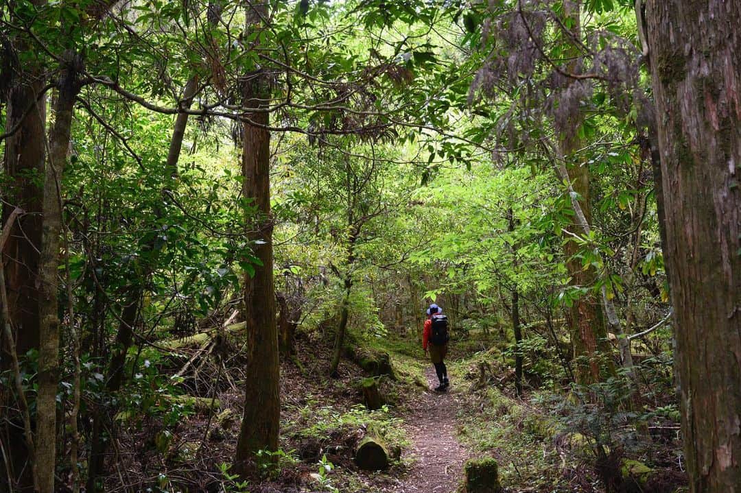 ROOT CO. Designed in HAKONE.のインスタグラム