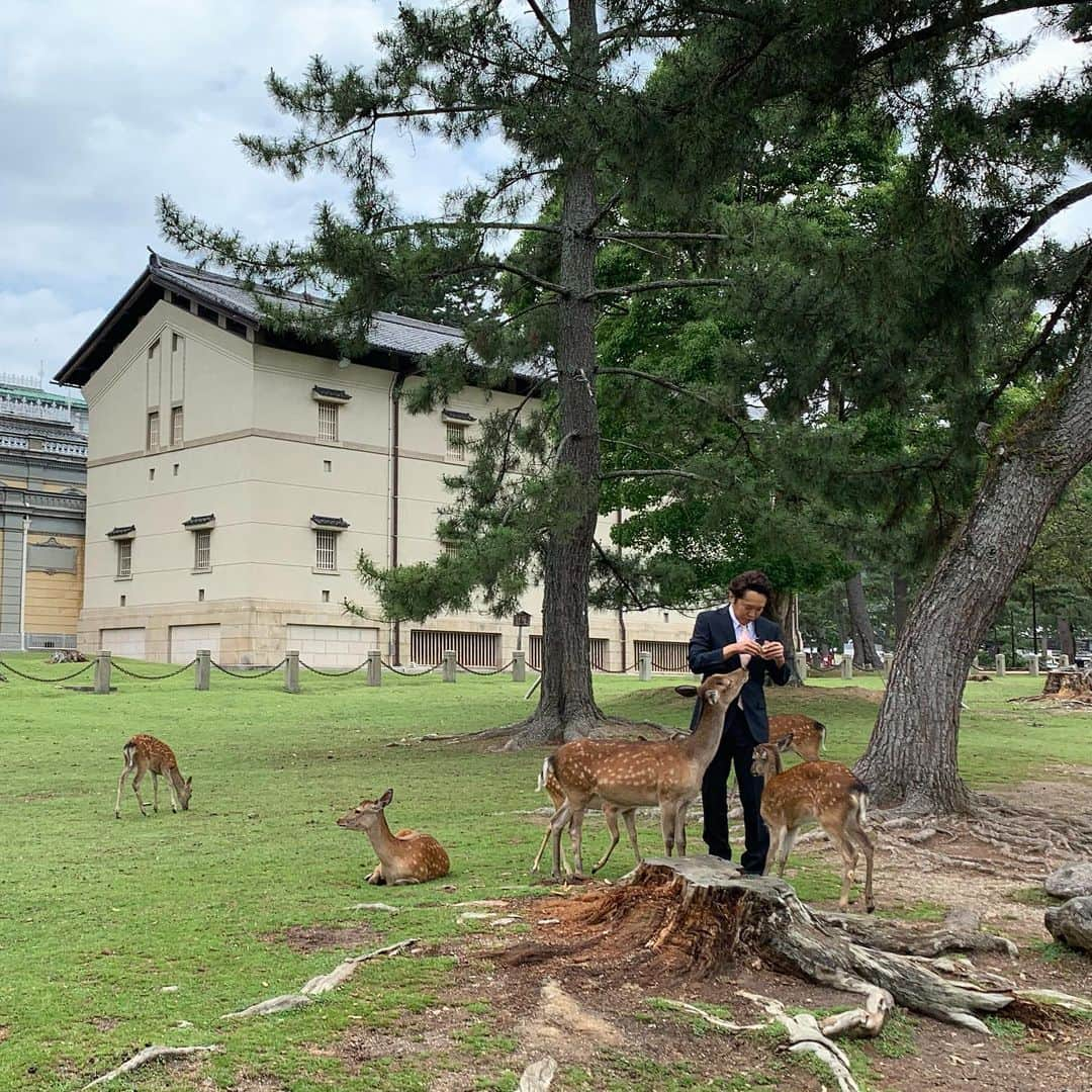 金子貴俊さんのインスタグラム写真 - (金子貴俊Instagram)「鹿に囲まれる私。 しかたない 🙇‍♂️」6月11日 11時47分 - takatoshi_kaneko