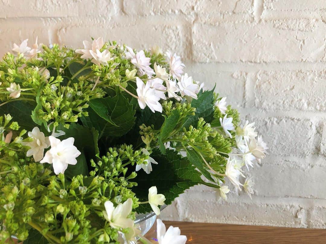 ホテルパシフィック金沢のグルメインスタ