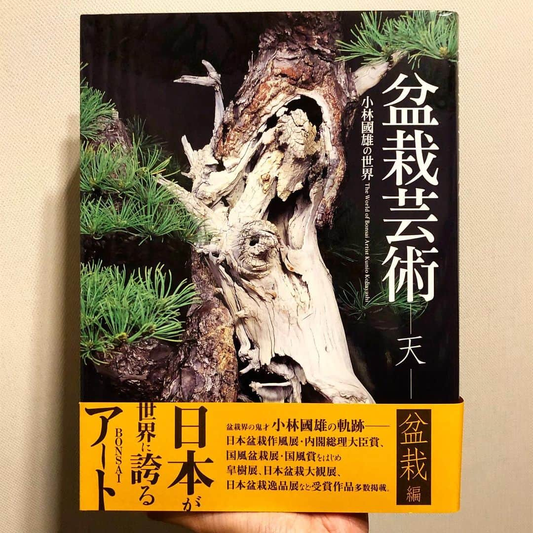 秋山真太郎さんのインスタグラム写真 - (秋山真太郎Instagram)「小林國雄先生の本。 先生が手掛けられた素晴らしい盆栽の数々が写真どっさりで載っている贅沢な本です✨ #小林國雄 氏#春花園 #art#actor#bonsaiactor#film#featurefilm#movieproducer#scriptwriter#creator#novel#盆栽#俳優#脚本#映画プロデューサー#クリエイター#表現者#小説#映画#skateboard#skater#bonsai」6月11日 12時04分 - shintaro_akiyama_official