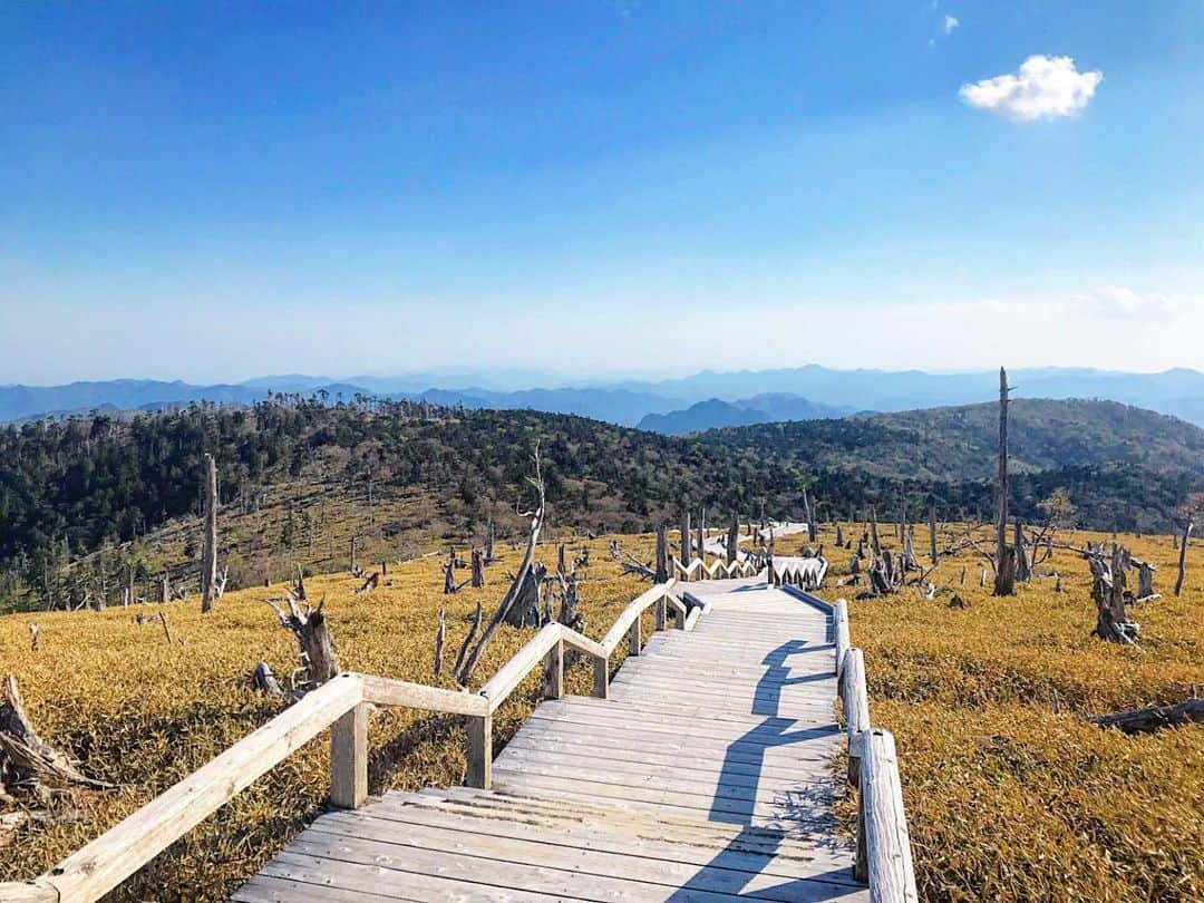 岩崎裕美のグルメインスタ