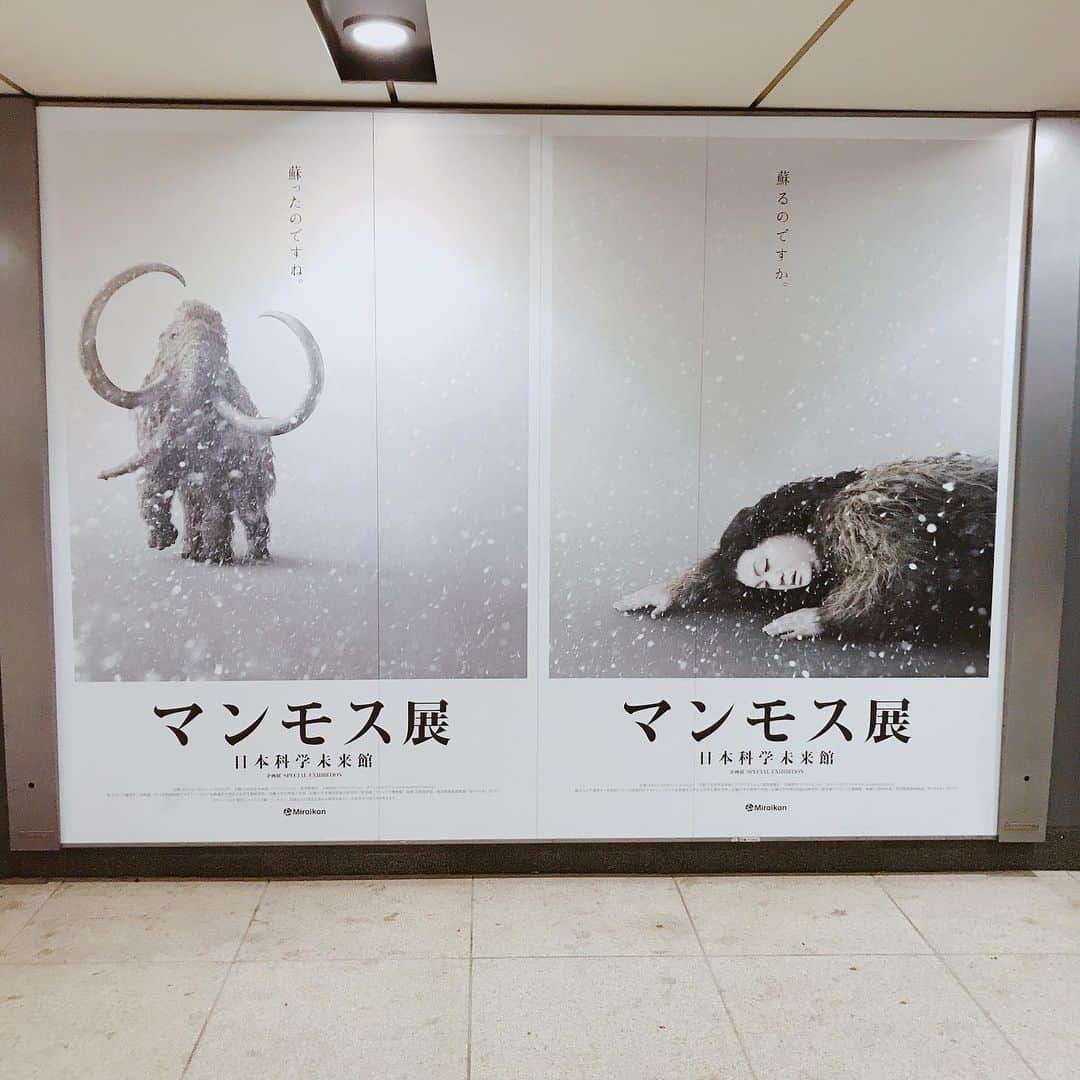 松浦有希さんのインスタグラム写真 - (松浦有希Instagram)「不思議に魅入られます。 これ、マツコさんですよね？ #マンモス展 #東京メトロ #mammoth」6月11日 13時18分 - 12bambi12_yuki_matsuura