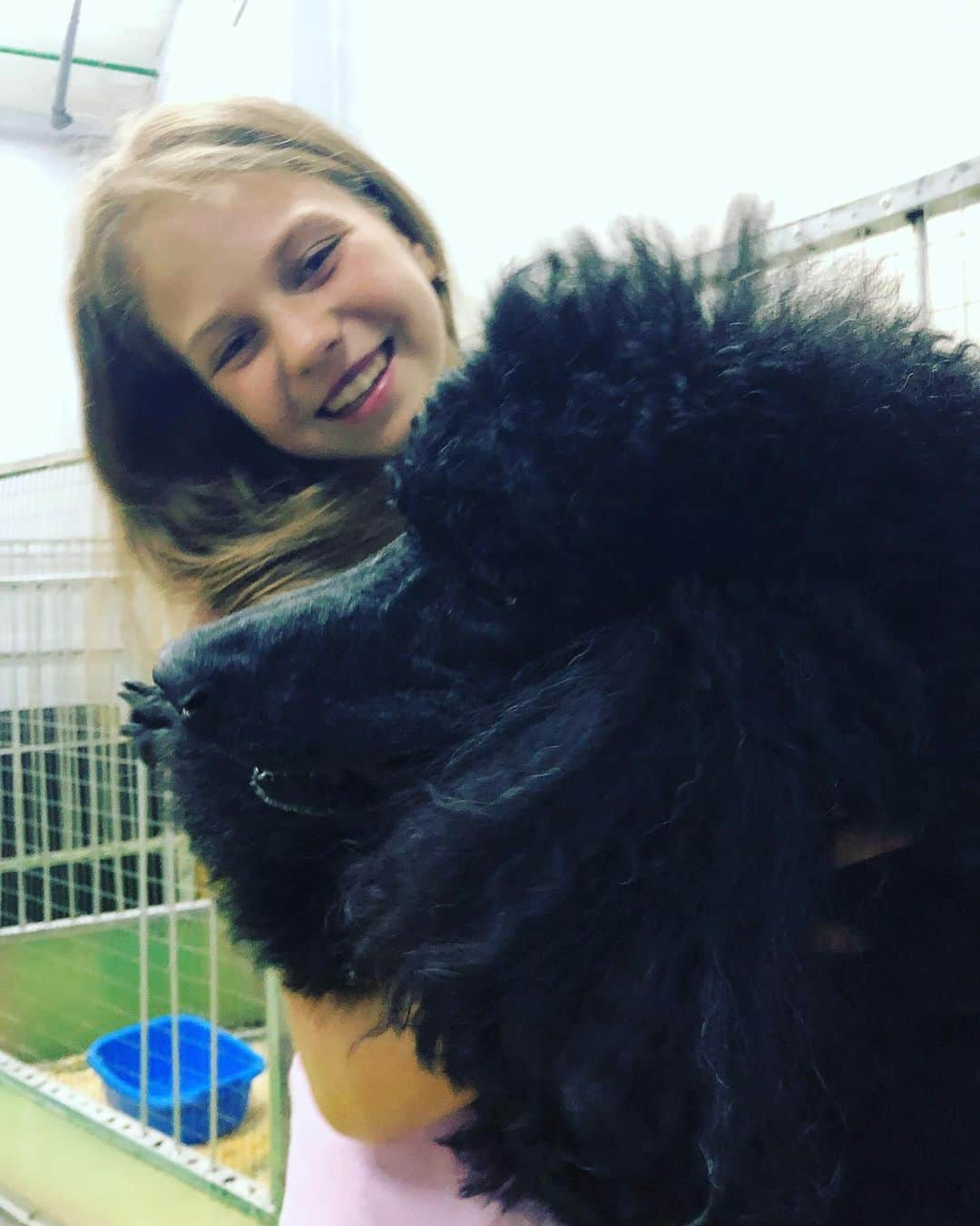 アレクサンドラ・トゥルソワさんのインスタグラム写真 - (アレクサンドラ・トゥルソワInstagram)「❤️🎪🐩」6月11日 13時33分 - avtrusova