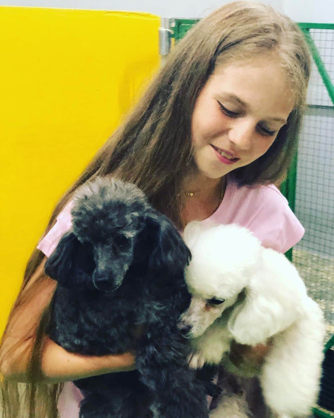 アレクサンドラ・トゥルソワさんのインスタグラム写真 - (アレクサンドラ・トゥルソワInstagram)「❤️🎪🐩」6月11日 13時33分 - avtrusova