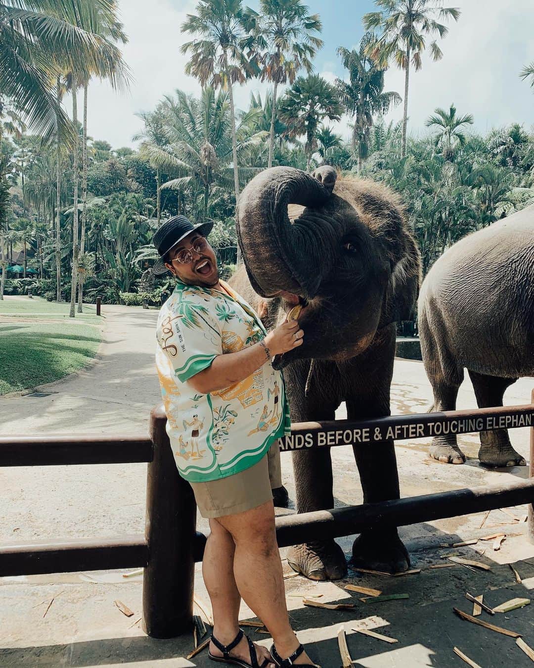 Ivan Gunawanさんのインスタグラム写真 - (Ivan GunawanInstagram)「. “ Never forget how wildly capable you are, be strong for every lessons you take. And don’t forget to be happy “ . #ivangunawan #holidaymood #balivibes #enjoylife #wildlife #masonelephants」6月11日 13時51分 - ivan_gunawan