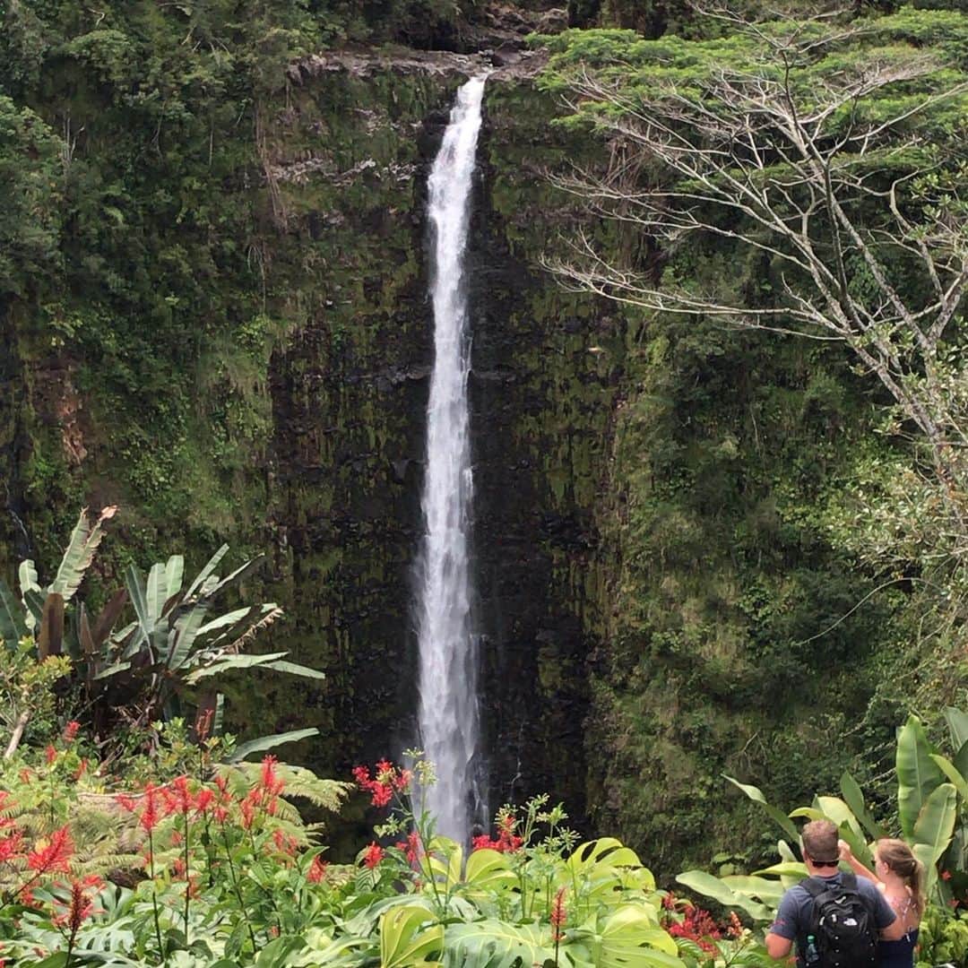 ハワイアン航空さんのインスタグラム写真 - (ハワイアン航空Instagram)「ハワイ最大級の落差134メートルの#アカカフォールズ 。途中、手作りジャムが有名な #ホノム の町 に立ち寄るのをお忘れなく！  #今こそハワイ島に行こう」6月11日 13時54分 - hawaiianairlinesjp