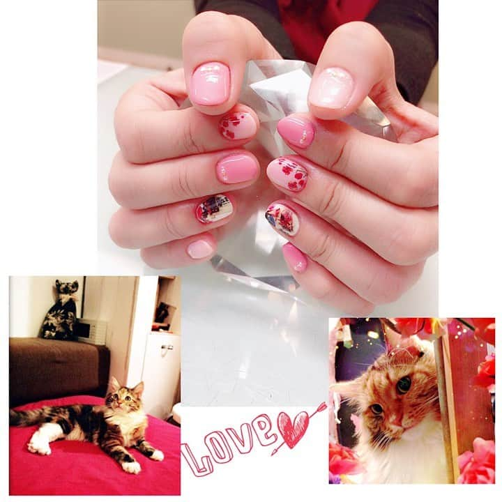 脊山麻理子のインスタグラム：「Nail Mix and Nail Robo 池袋店でネイルを新しくしてきました♡写真もネイルにプリントできるというマシンで、6月9日に誕生日を迎えたみるくぽんをプリントしてもらいました♡プリント時間15秒くらい！すごいなぁ♡お花のアートも印刷♡丁寧にケア&ジェルネイルをしてもらって最後のアートは機械にお任せ♡すごい時代にゃ(=^ェ^=) #みるくぽん #お誕生日おめでとう #プリントネイル #ネイルミックス #ネイルロボ #ジェルネイル #nailmix」