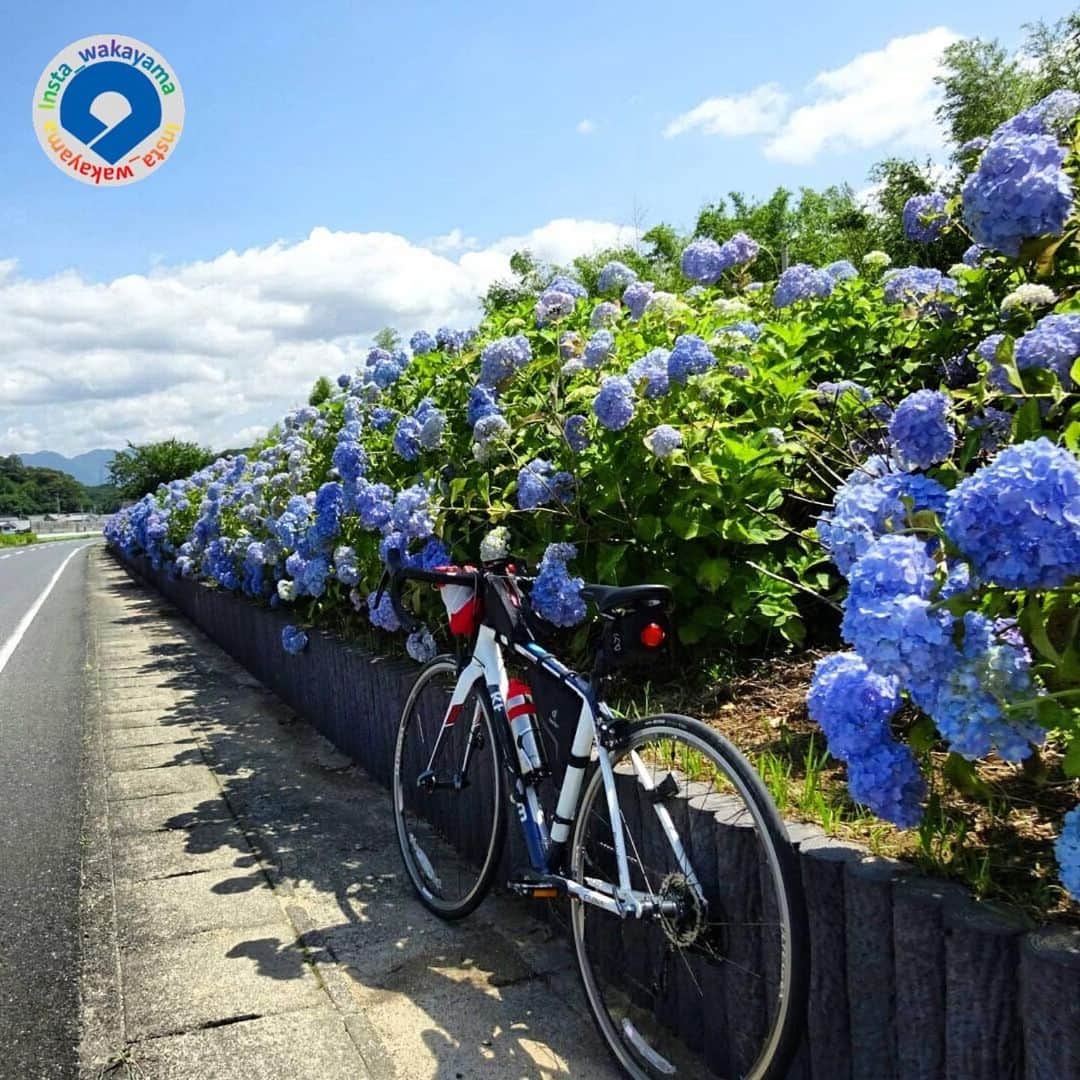 和歌山県のインスタグラム