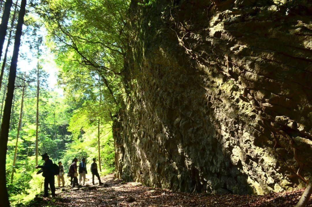 日本の国立公園さんのインスタグラム写真 - (日本の国立公園Instagram)「Follow: @nationalpark_japan⠀ Location: Hatajuku,Hakone tawn/箱根、畑宿付近⠀ .⠀ This is part of the geosite registered as the "Hiryu-no-Taki Falls and Columnar Joint" in Hakone Geopark. The structure of the columnar joint rock surface—with evenly cracked hexagonal prisms—is a spectacular sight. Come and see it for yourself on your way to the waterfalls!⠀ .⠀ On our Instagram, we will also share wonderful photos of National Parks of Japan posted on Instagram with the tag #nationalparksjp. We look forward to your participation!⠀ .⠀ #FujiHakoneIzuNationalPark #富士箱根伊豆国立公園 #東京都 #神奈川県 #山梨県 #静岡県⠀ .⠀ #NationalPark #nationalparks #nature #findyourpark #instafollow #japan #landscape #landscape_lovers #ourplanetdaily #landscapephotography #hiking #outdoors #traveling #travel #explore #visitjapanjp #日本 #國家公園 #일본 #국립공원 #国立公園」6月11日 15時00分 - nationalpark_japan